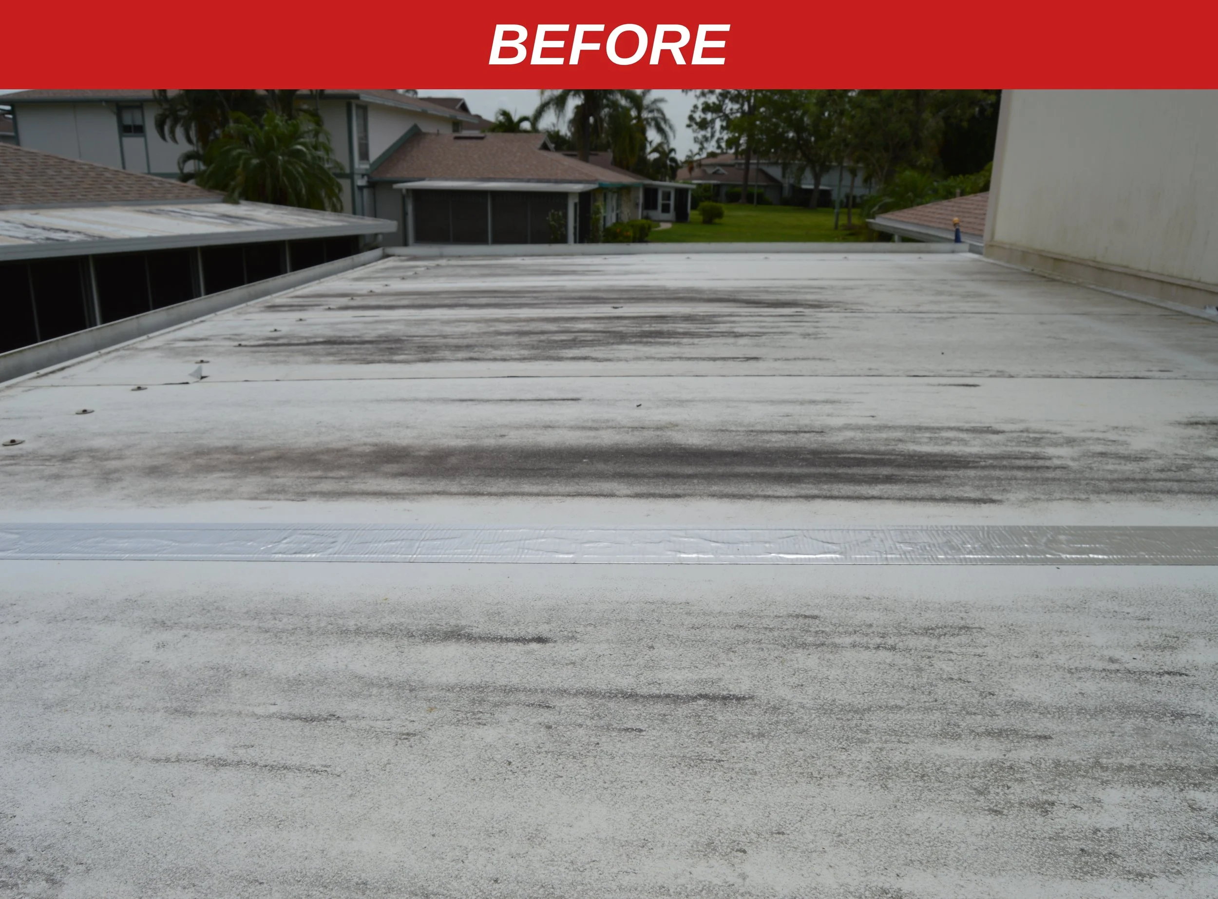 Water is Wild Pressure Washing - Lanai roof before soft wash