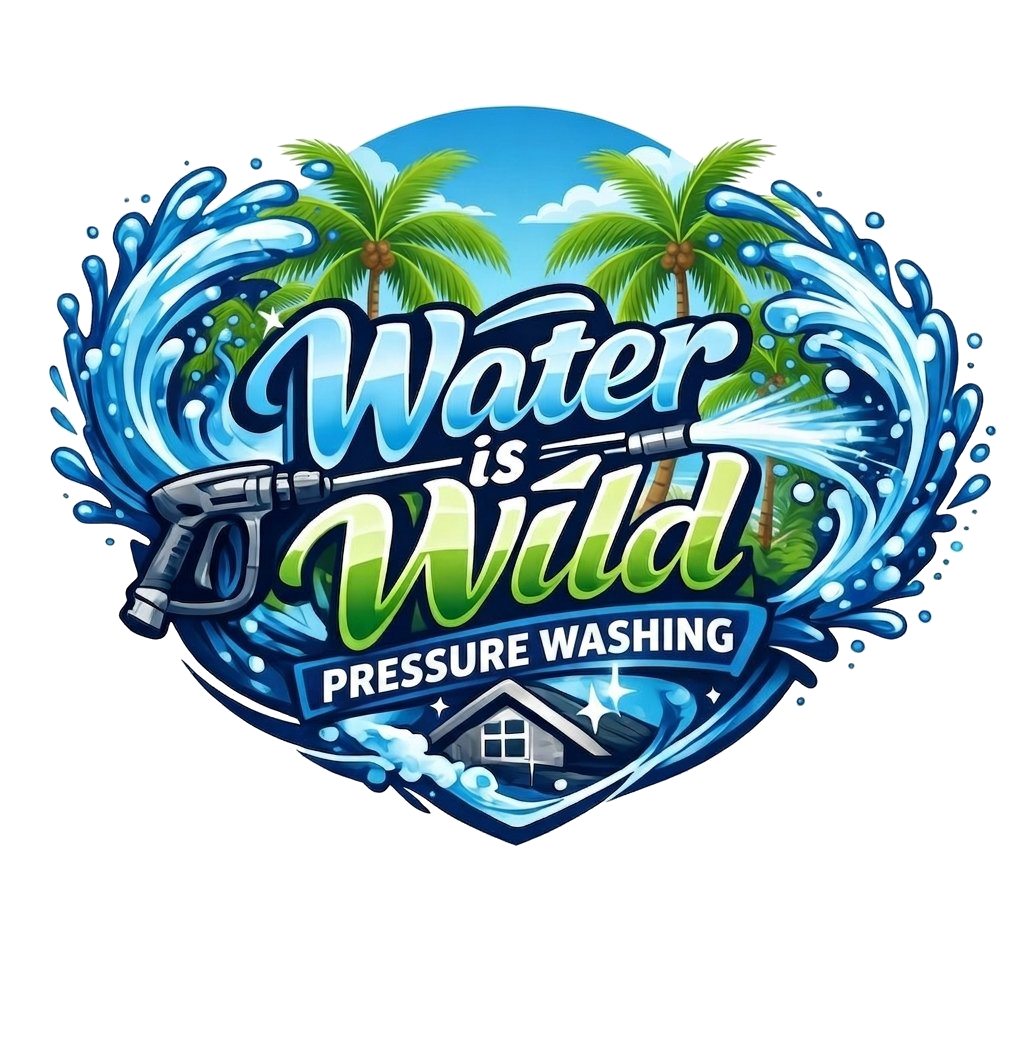 Water is Wild Pressure Washing