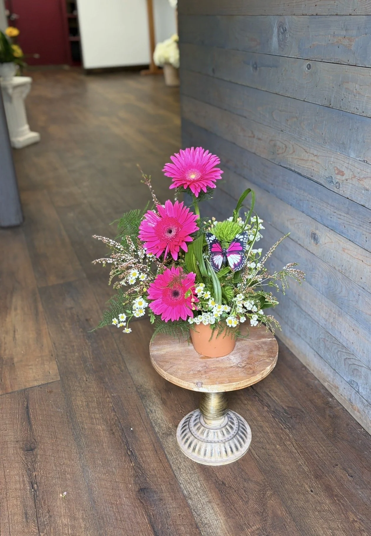 IMG_1137.jpg