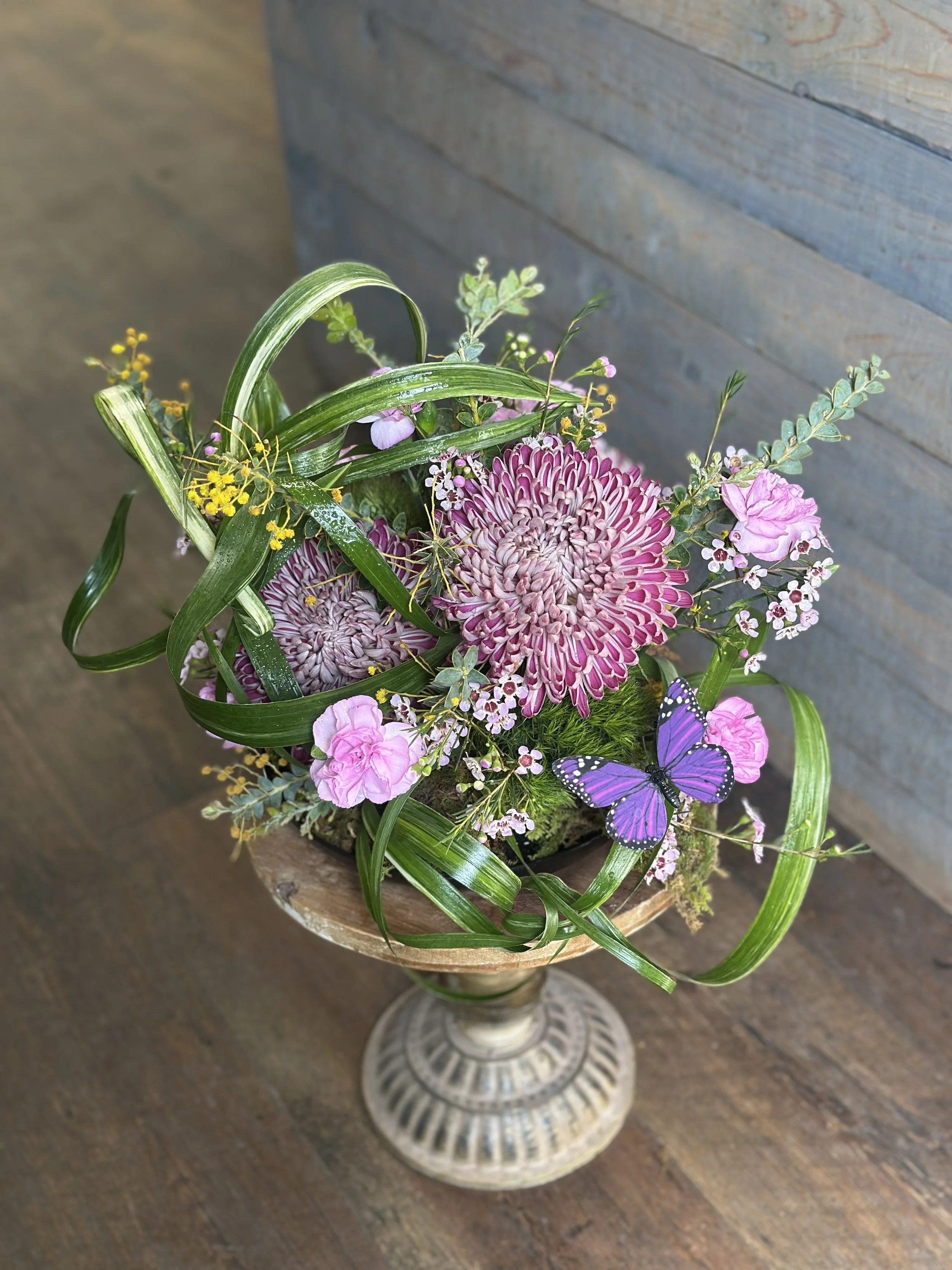 IMG_6798.jpeg