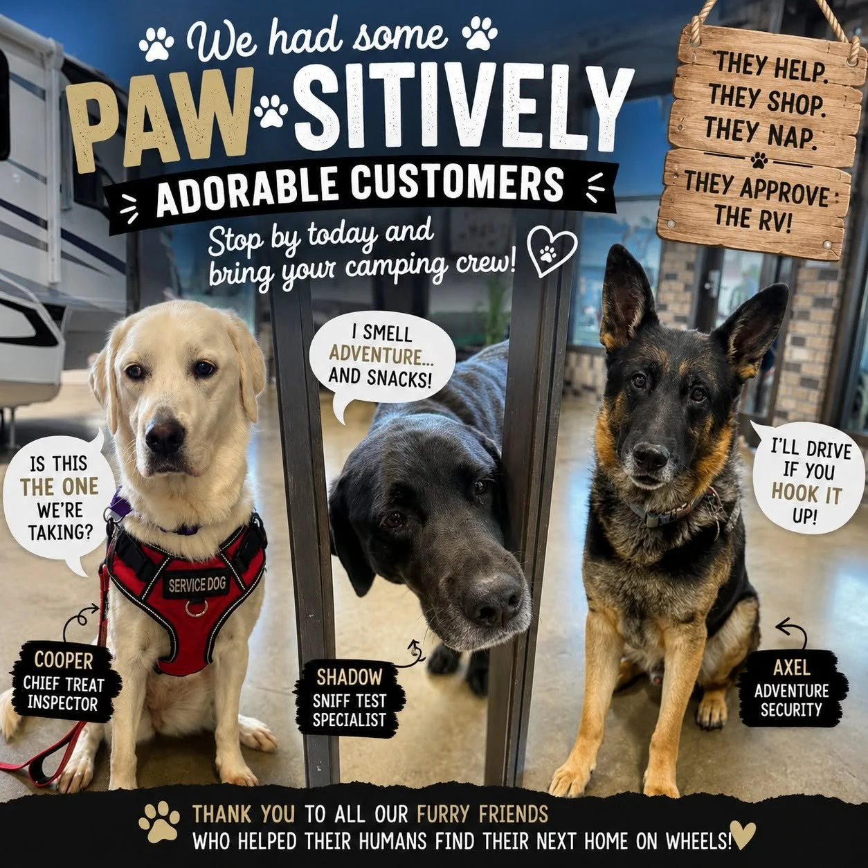 dogs.jpg
