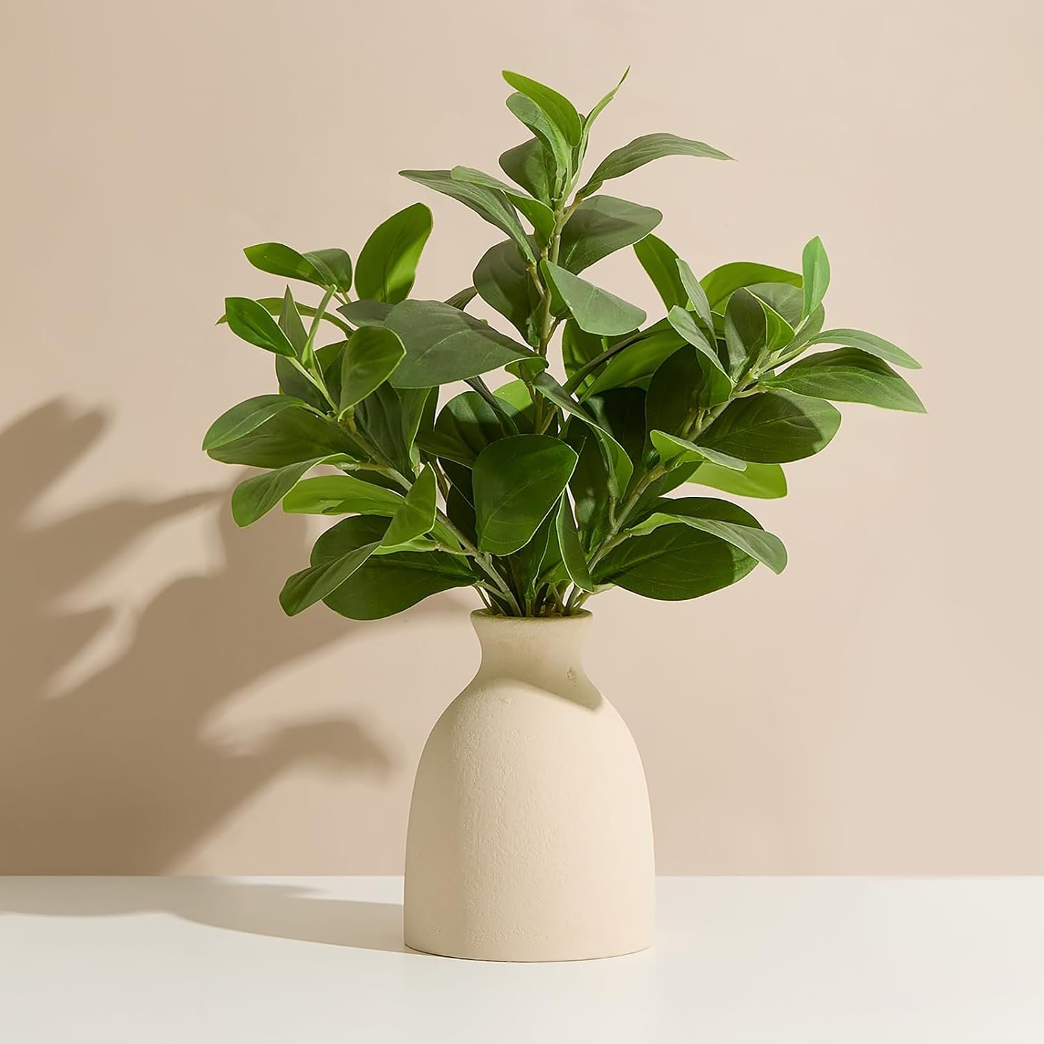 A green leafy plant in a white vase on a white surface with a plain beige wall background.