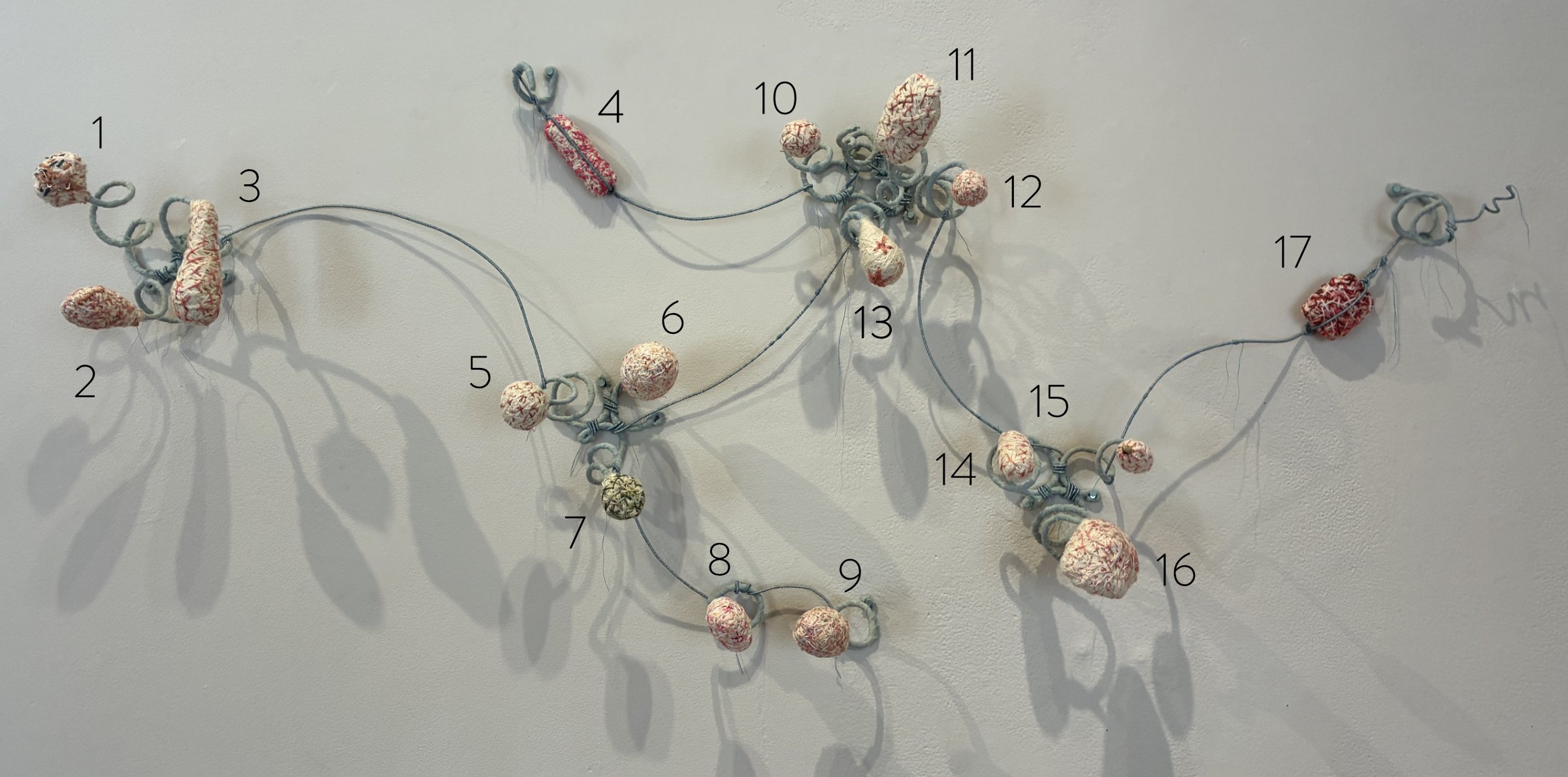 Cocoon legend for the artwork Attend, Adjust, Respond