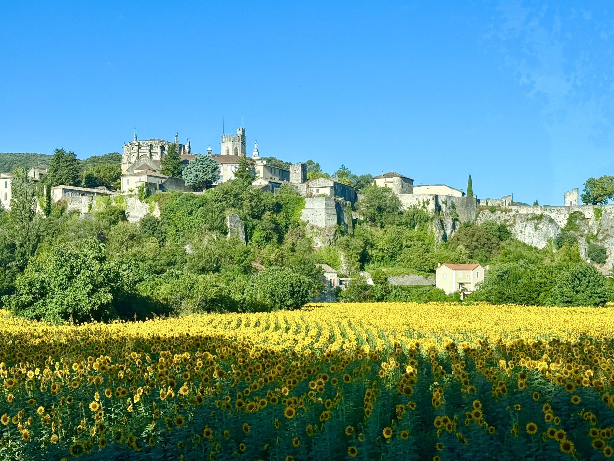CWT Journal – August 5, 2026 / Tain-l'Hermitage