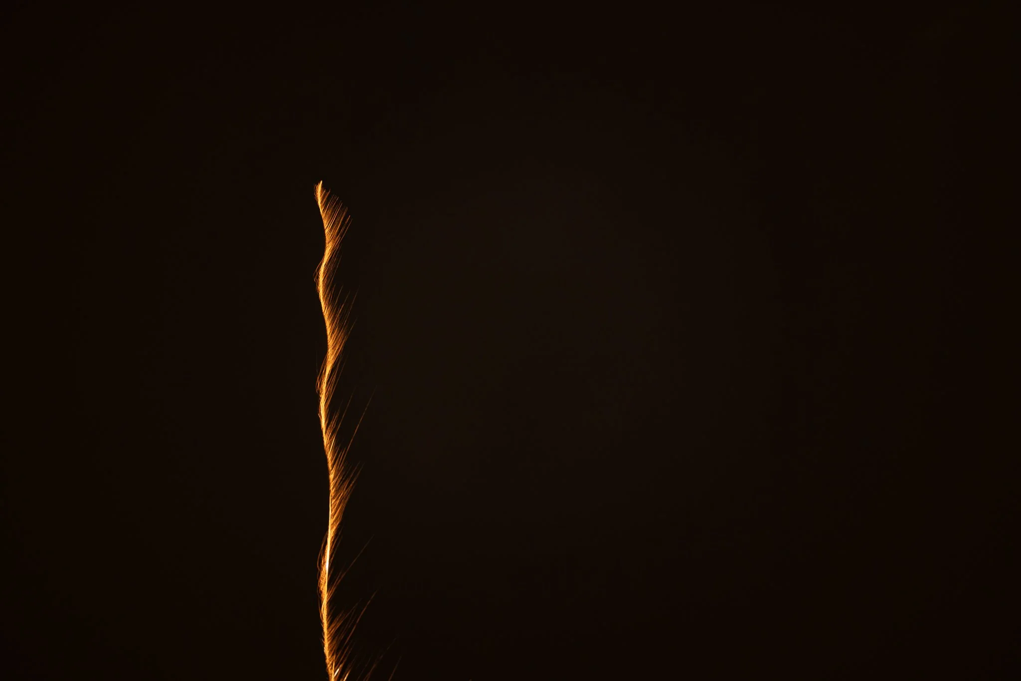 A single golden line of light crossing a deep black background.