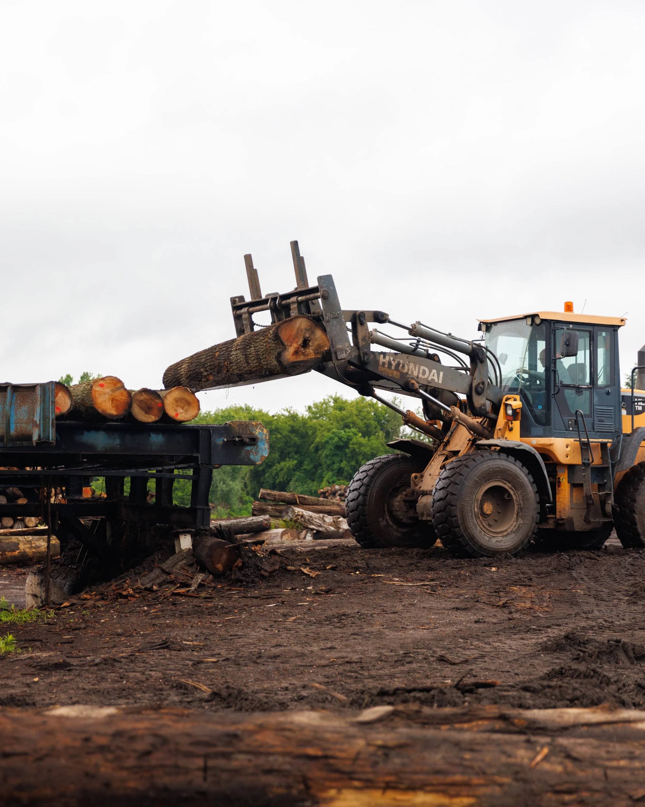 A yellow Hyundai backhoe loader lifting logs for stacking or transportation, with stacked logs on a flatbed in front, outdoors under a cloudy sky.