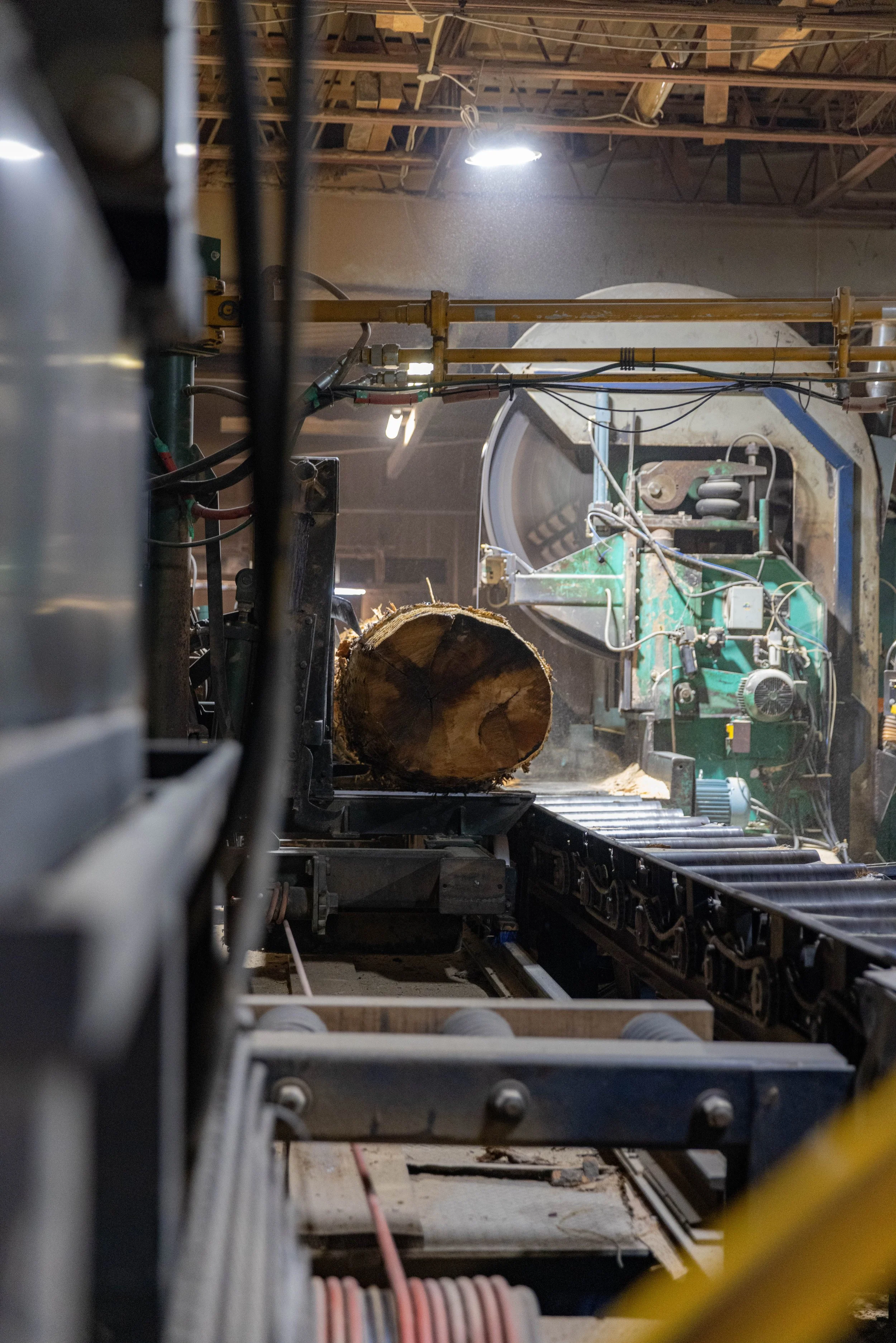 Logging equipment and a large log being processed in a sawmill or timber mill.