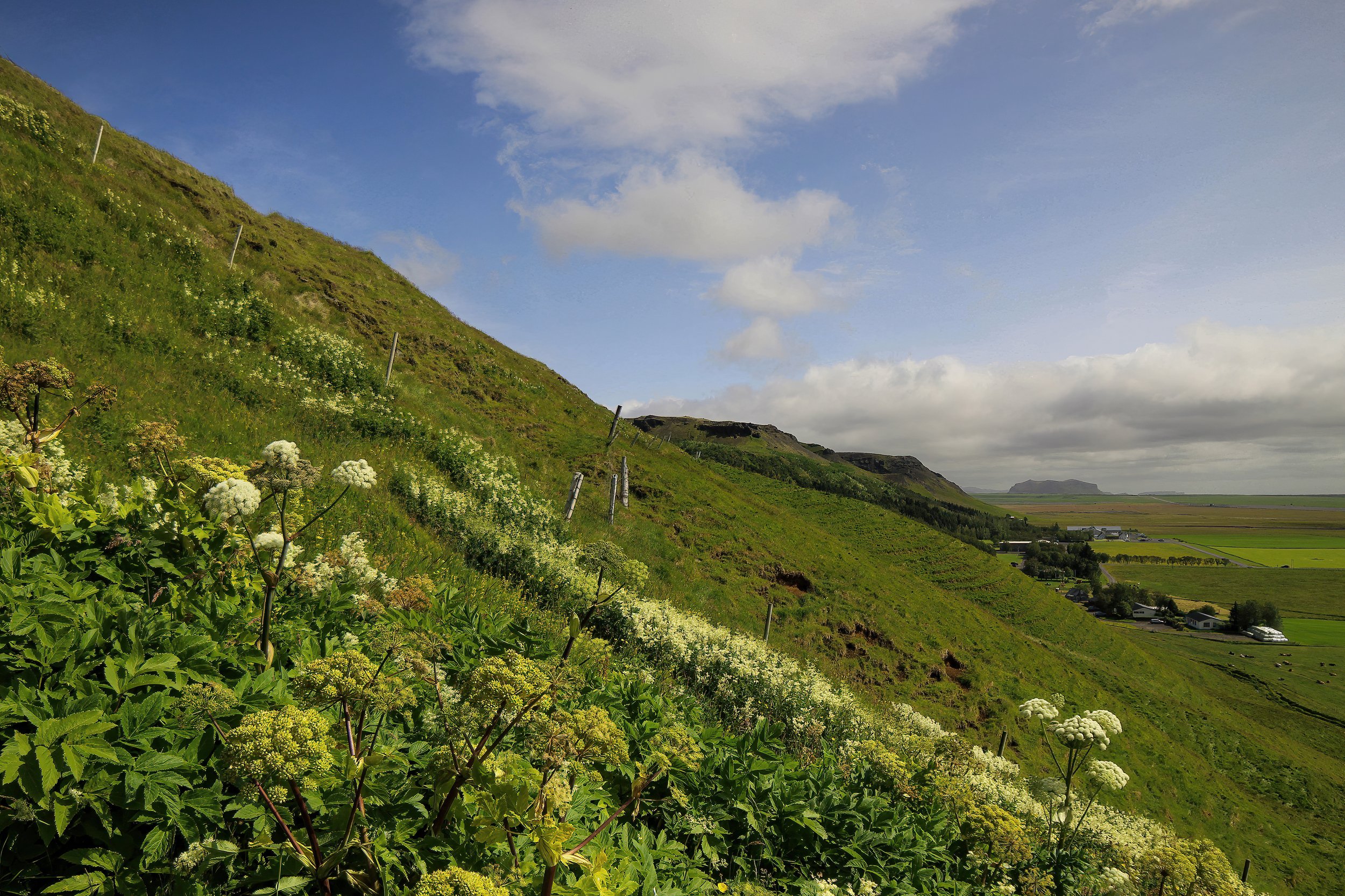 A scenic countryside landscape featuring a sloped green hill with wildflowers, some fences, and a flat plain with more plants and a few structures in the distance, under a partly cloudy sky.