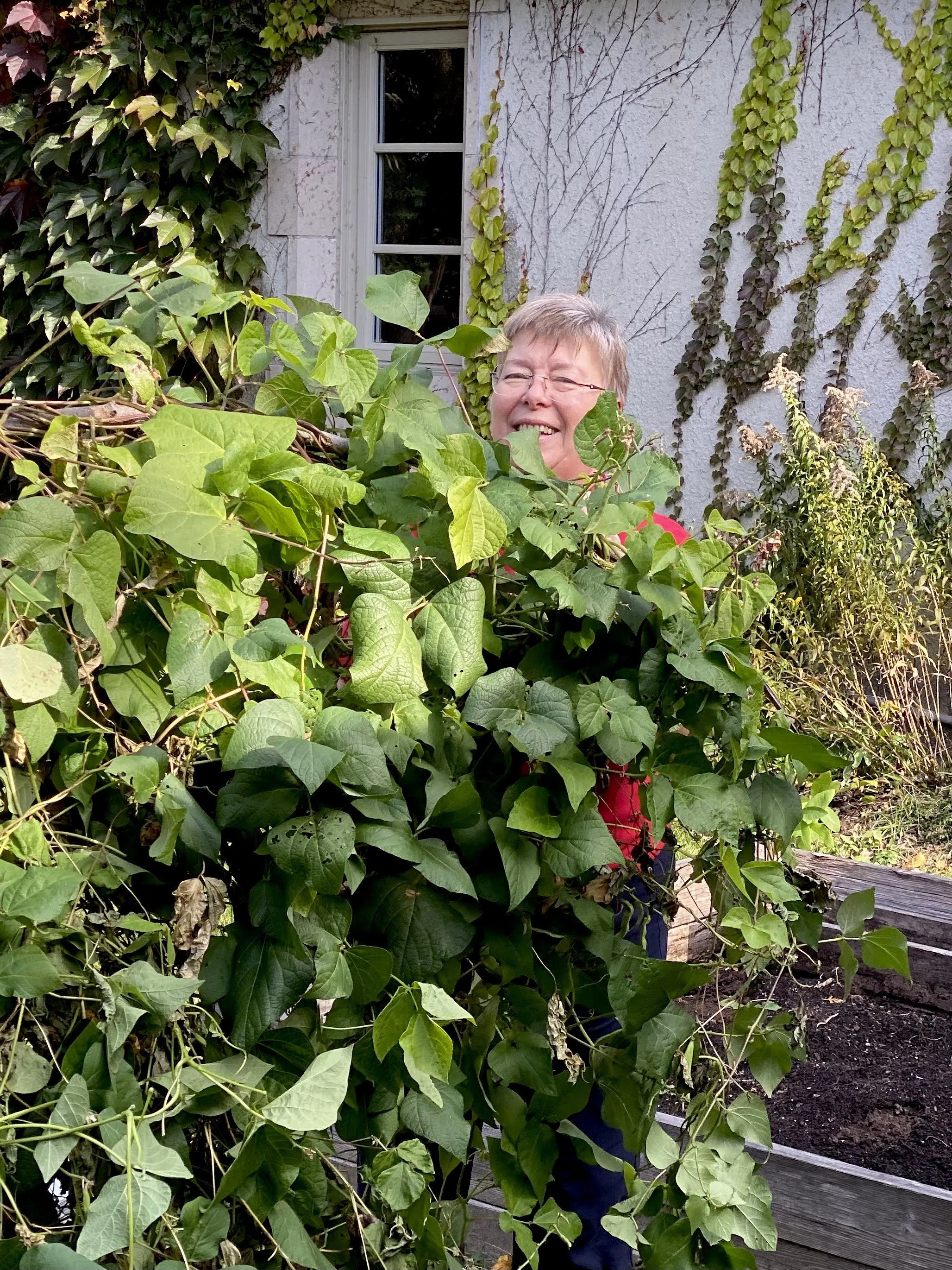 Elisabeth behind the beans (Martha Randy, 2023?)