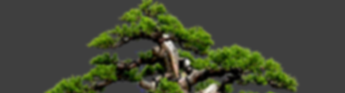 Close-up of a miniature bonsai tree with lush green foliage against a dark background.