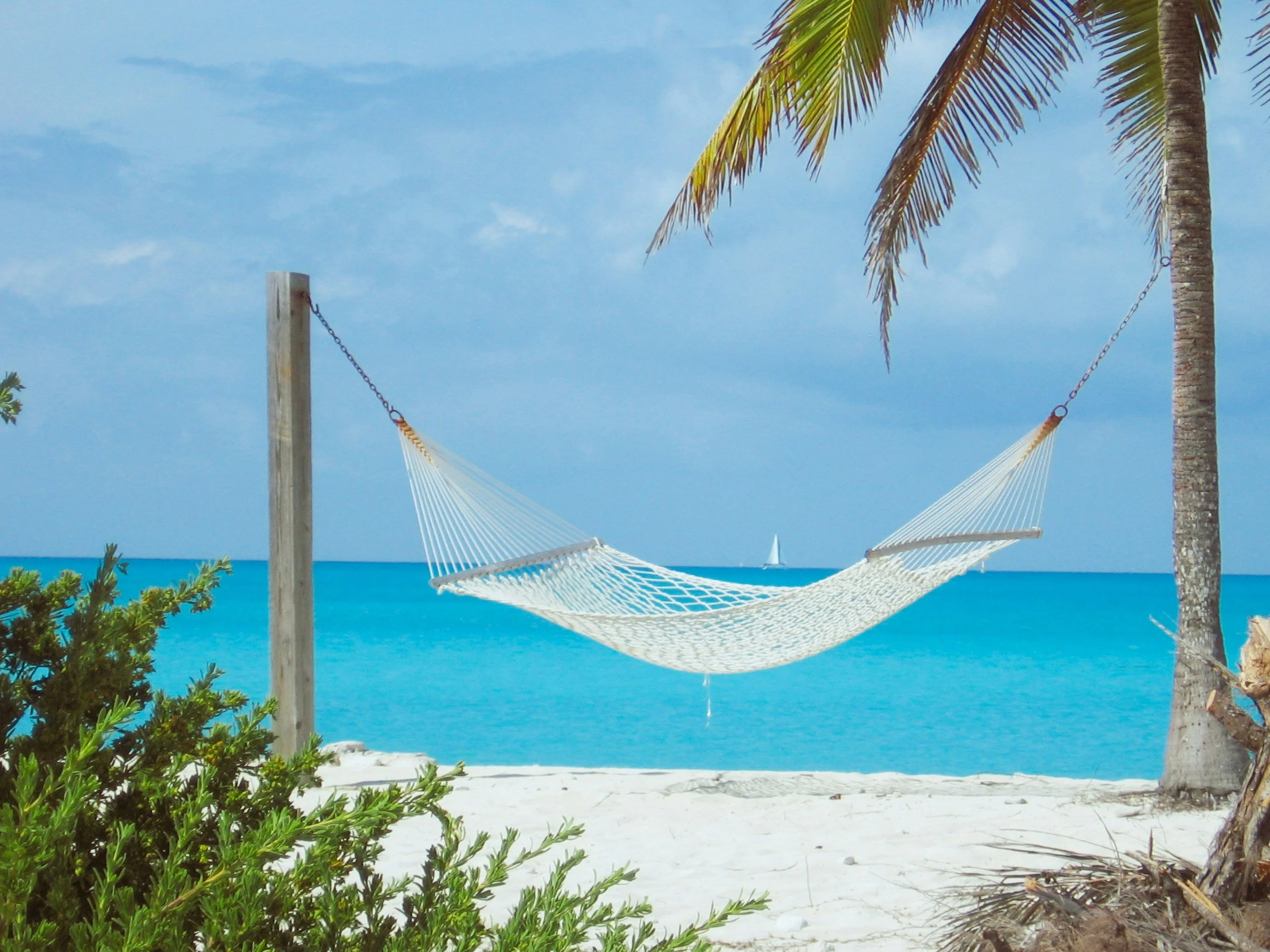 A hammock tied between two palm trees on a sandy beach, with ocean and a sailboat in the distance under a blue sky.