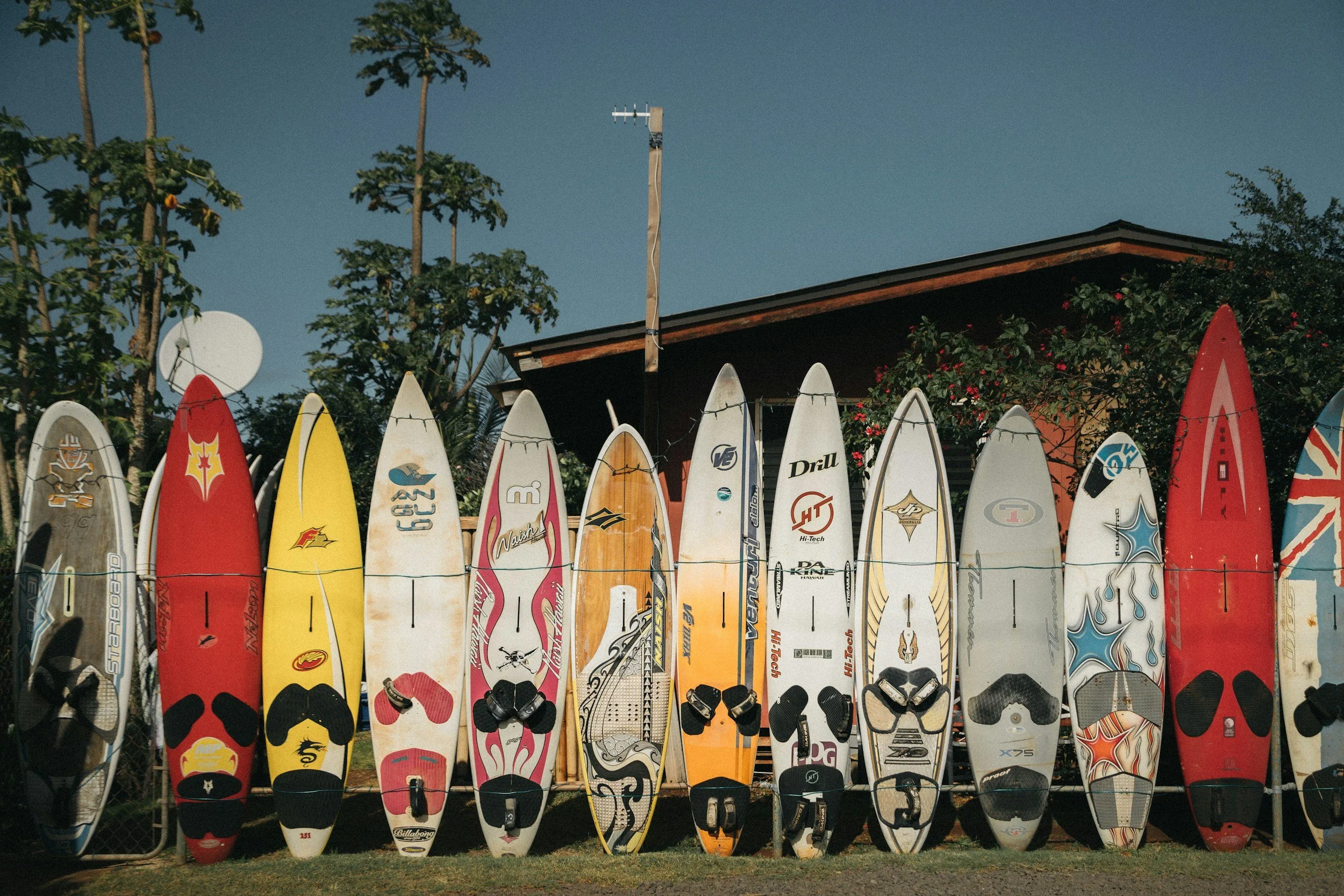 A lineup of colorful surfboards stored vertically against a fence, with a house, trees, and a clear blue sky in the background.