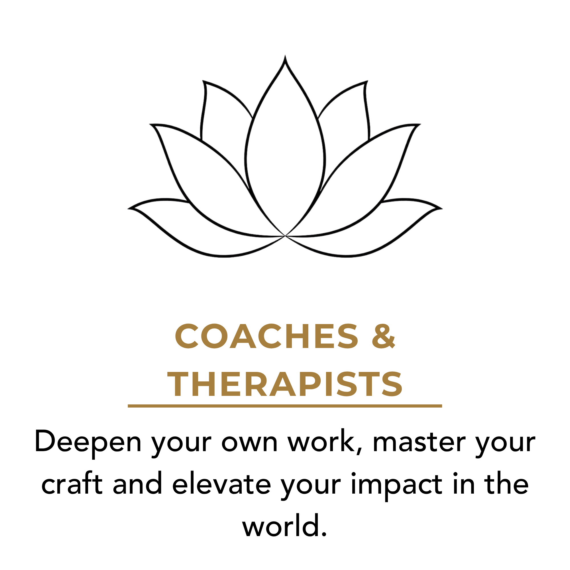 Professional development for coaches and therapists with Michael Vaccaro