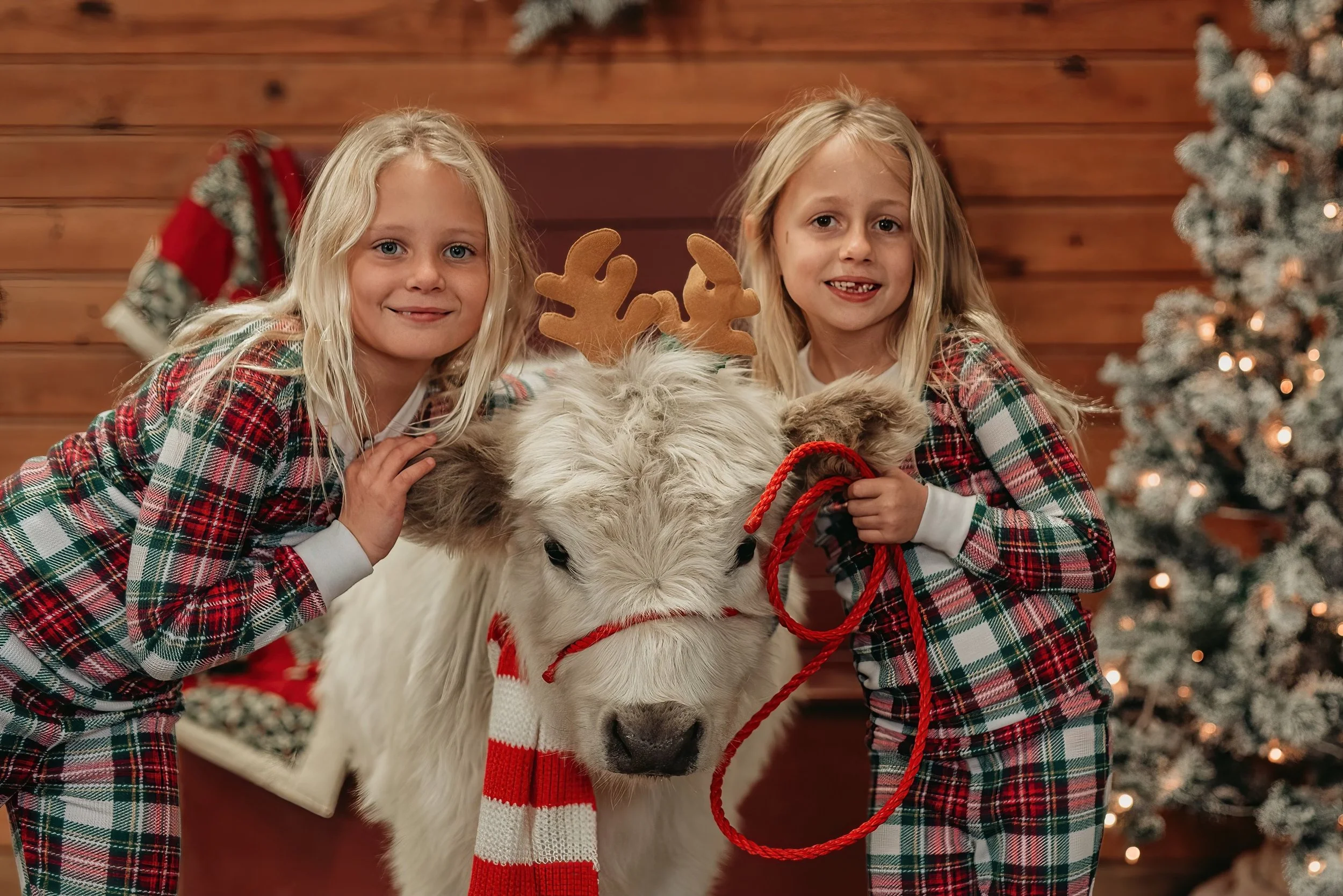 Two young girls in Christmas plaid outfits posing with a large white reindeer decoration in front of a wooden wall and Christmas tree, both smiling.