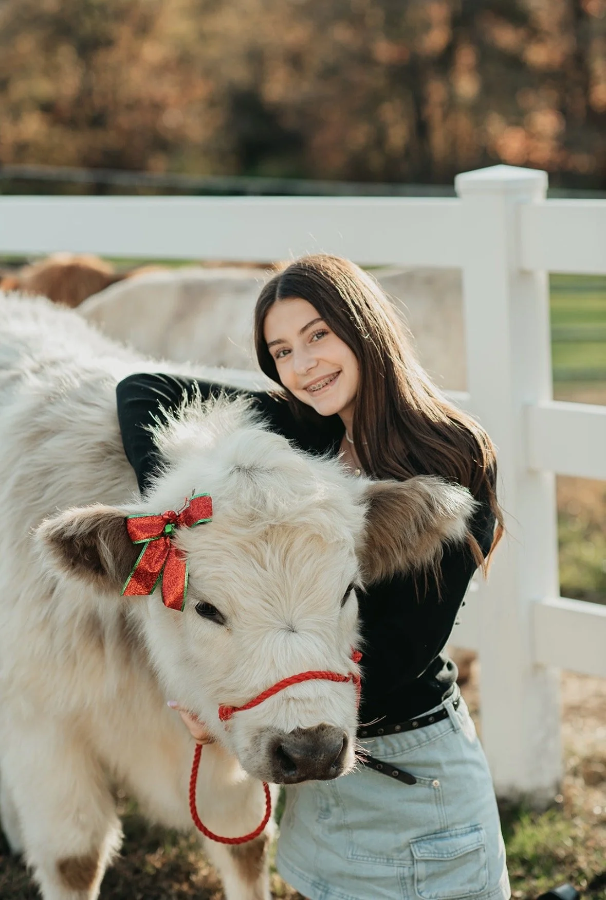 A young woman smiling and hugging a calf with a red ribbon and bow decoration on its head in a farm setting.