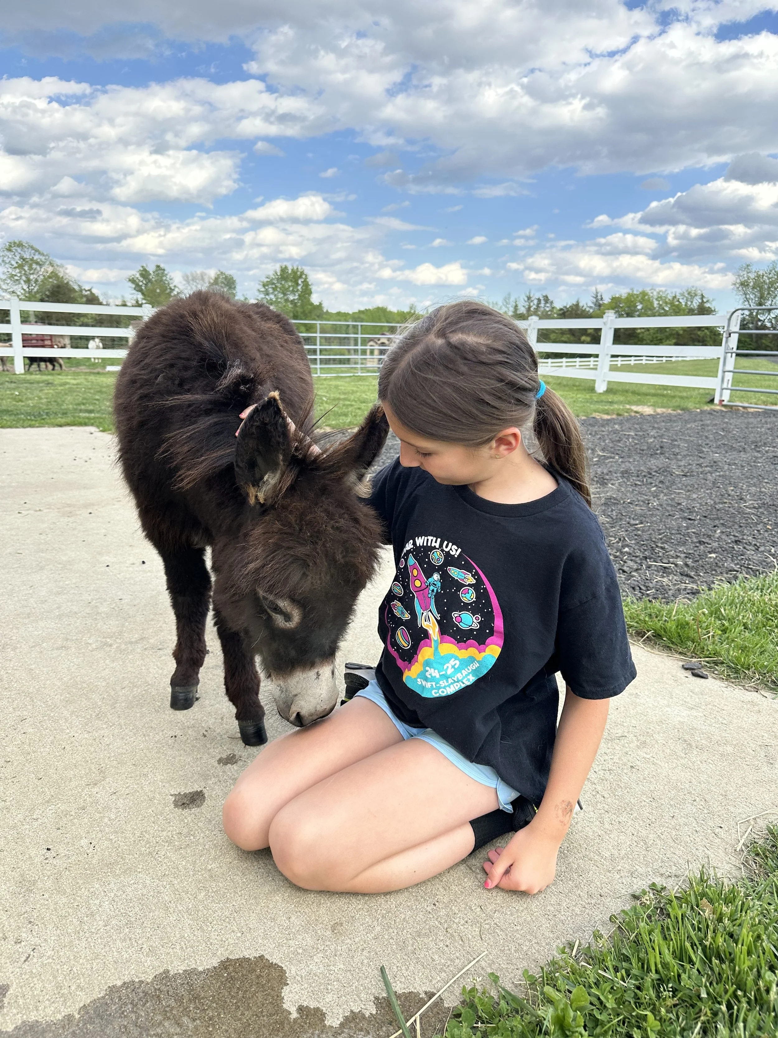 A young girl with brown hair in a ponytail sitting on the ground outside, gently touching the face of a small, fluffy dark brown pony. The girl is wearing a black t-shirt with a space-themed design and light blue shorts, and she is kneeling on a concrete pathway. The background features a white fence, green grass, and trees under a partly cloudy sky.