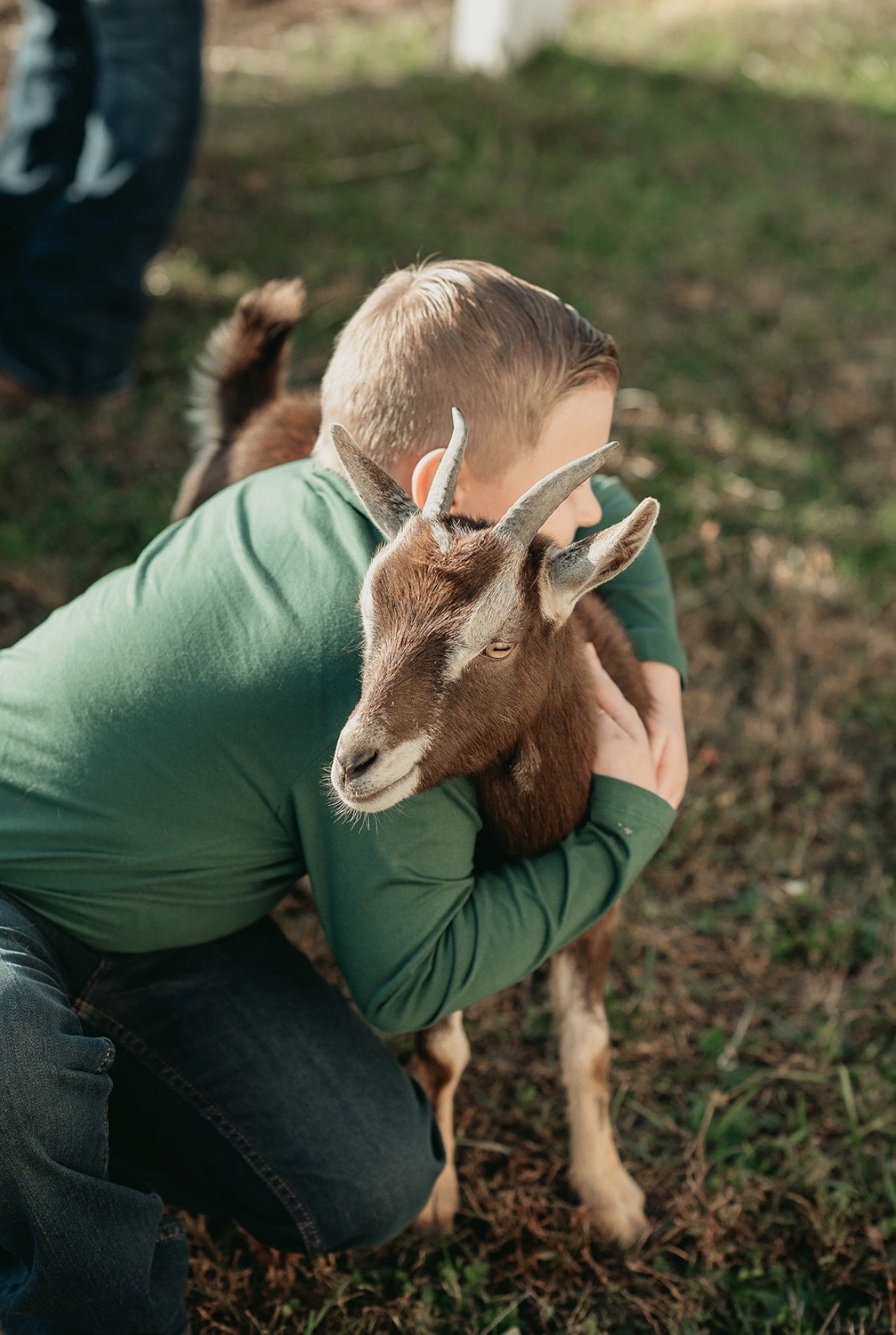 A boy with short hair wearing a green shirt hugging a brown and white goat with curved horns.