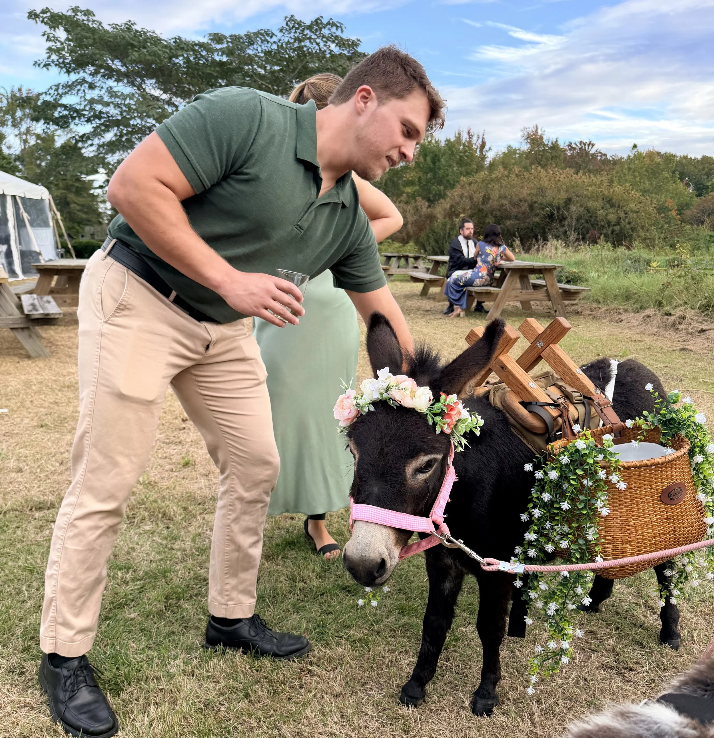 A small brown donkey with a floral wreath around its neck standing on green grass in front of a white fence, under a partly cloudy sky.