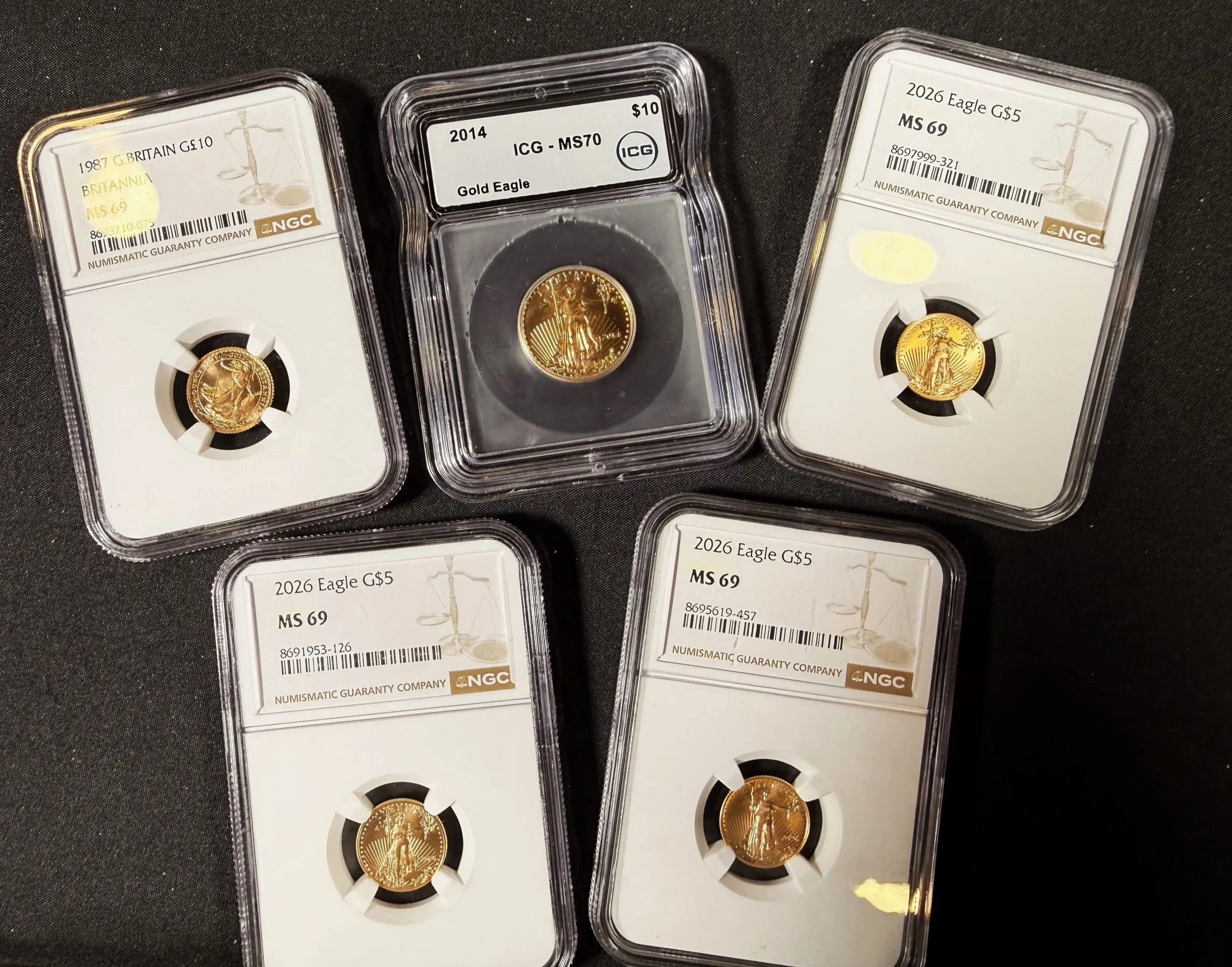 Three gold coins each in plastic holders with labels, all featuring the Walking Liberty design, organized on a dark surface.