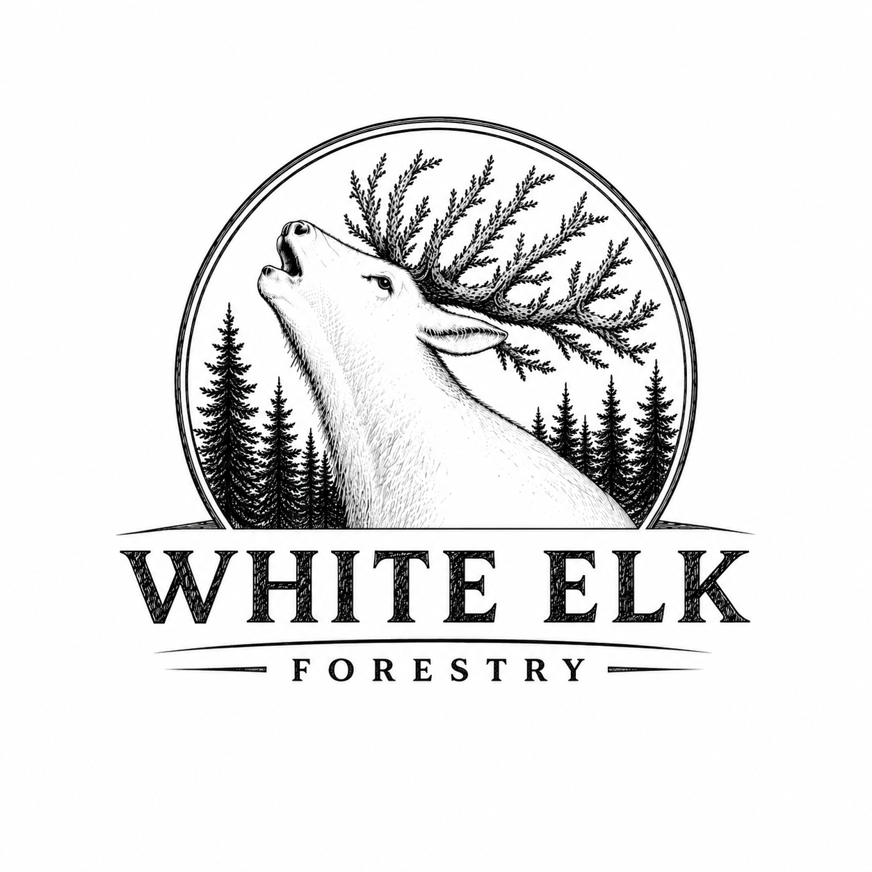 White Elk Forestry