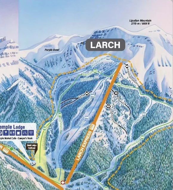 Segment of Lake Louise Ski Resort showing Larch terrain