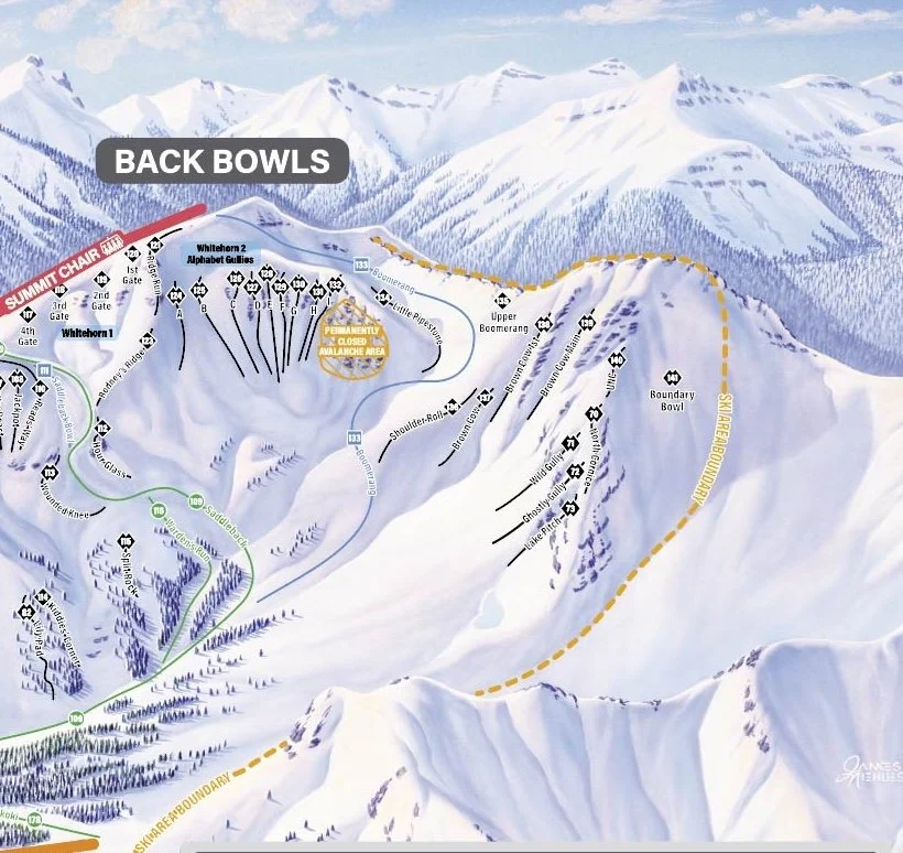 Segment of Lake Louise Ski Resort trail map showing Back Bowls terrain