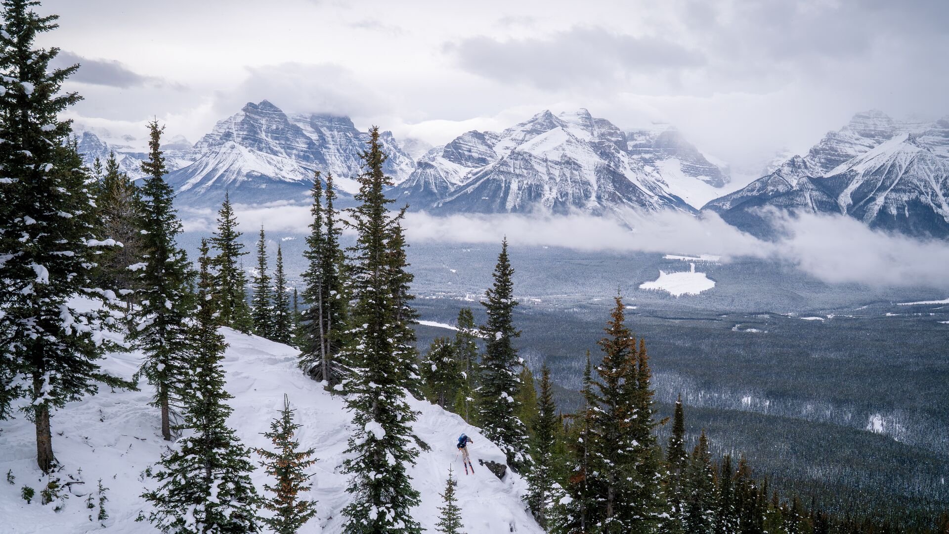 Advanced Glade Skiing at Lake Louise Ski Resort