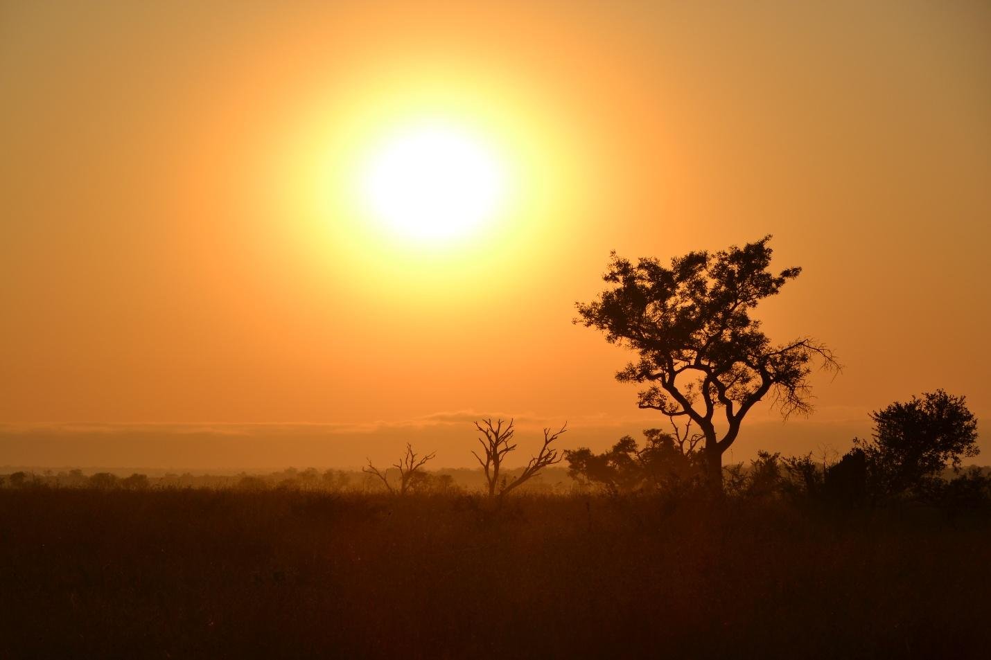 Africa Accessible