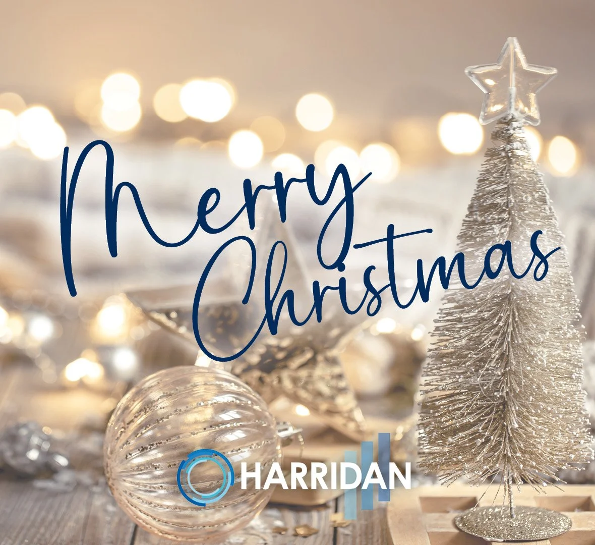 MERRY CHRISTMAS FROM THE HARRIDAN TEAM🎄🎅