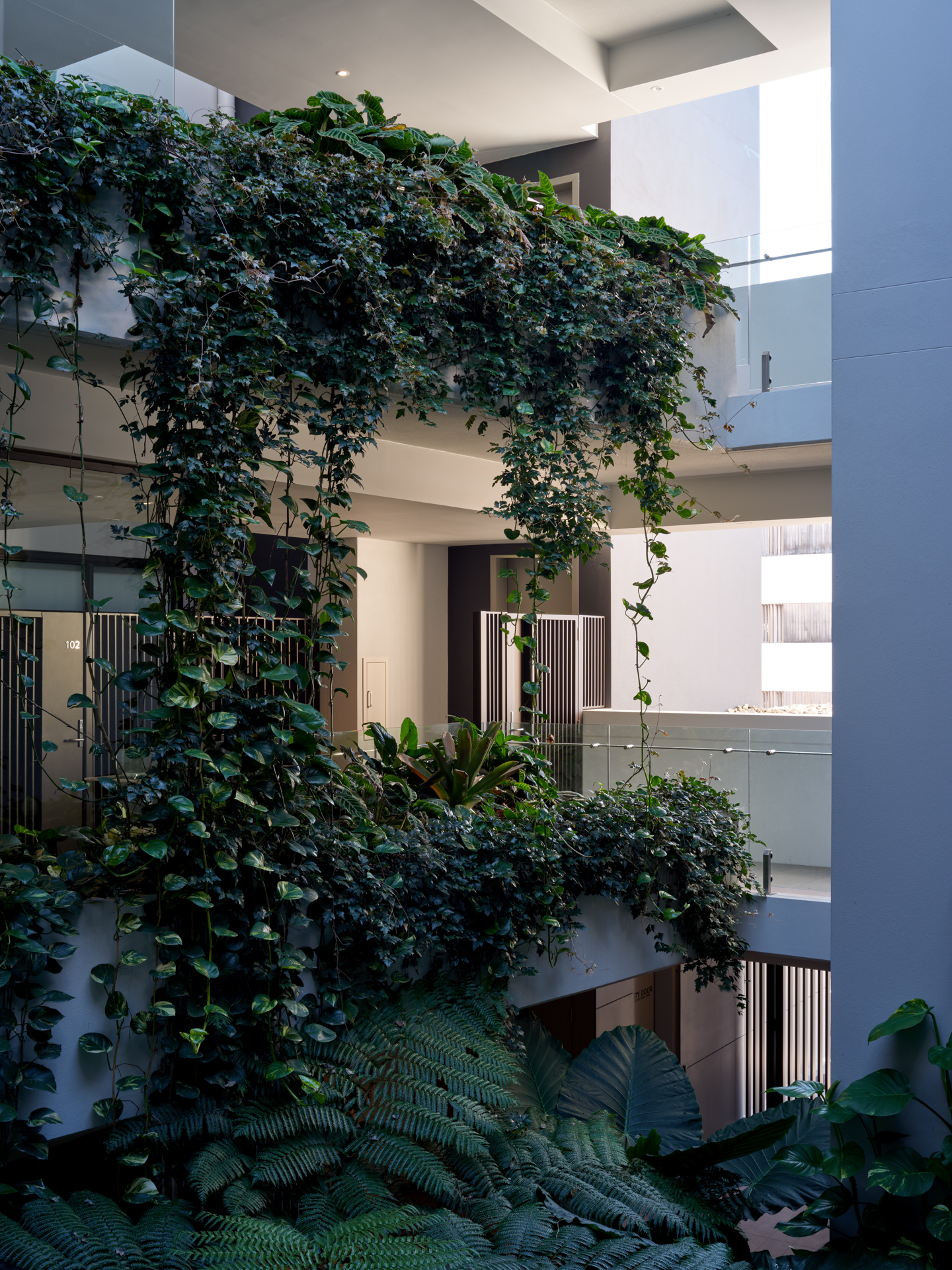 ©CFJ_Riverbank on Byron-05_EDIT.png