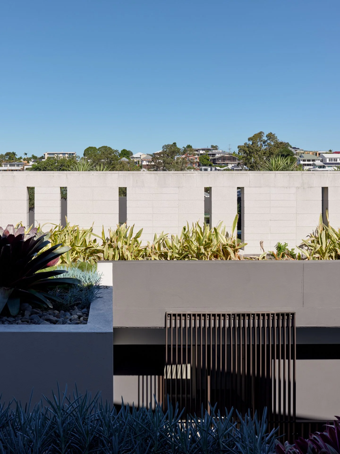 ©CFJ_Riverbank on Byron-43.jpeg