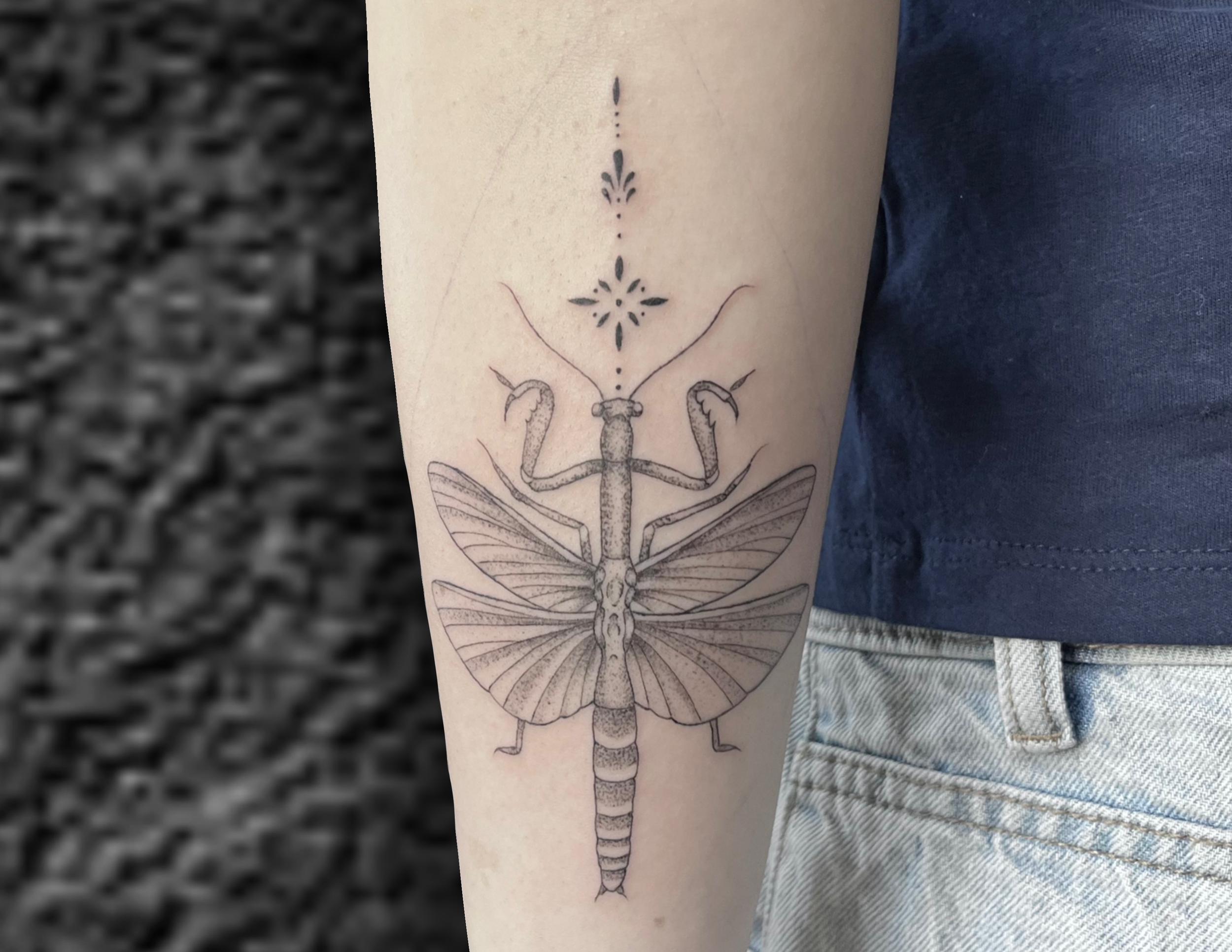 Untitled_Artwork (15).PNG