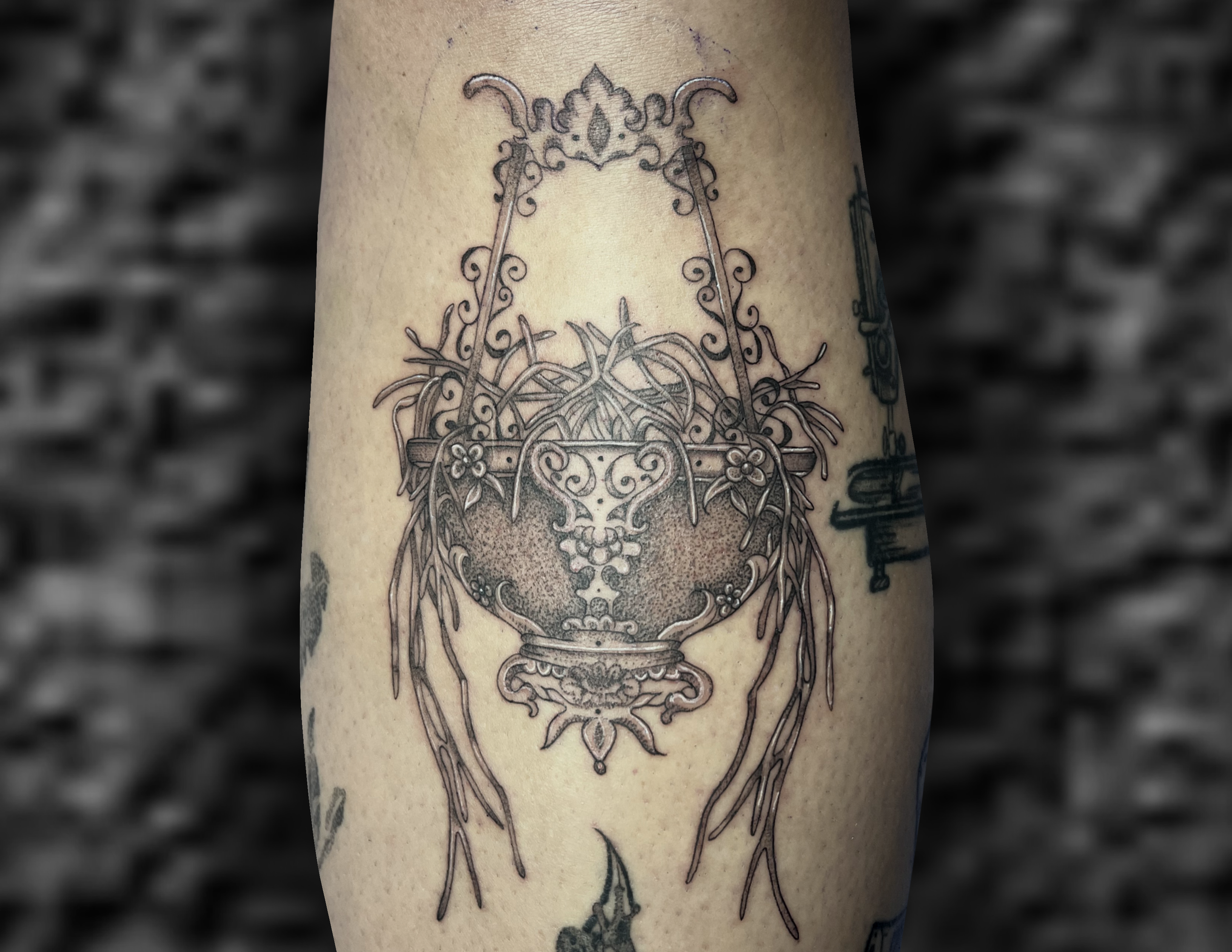 Untitled_Artwork (13).PNG
