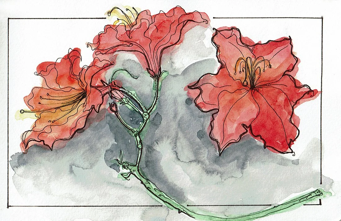 watercolor-sketch2_web_.jpg