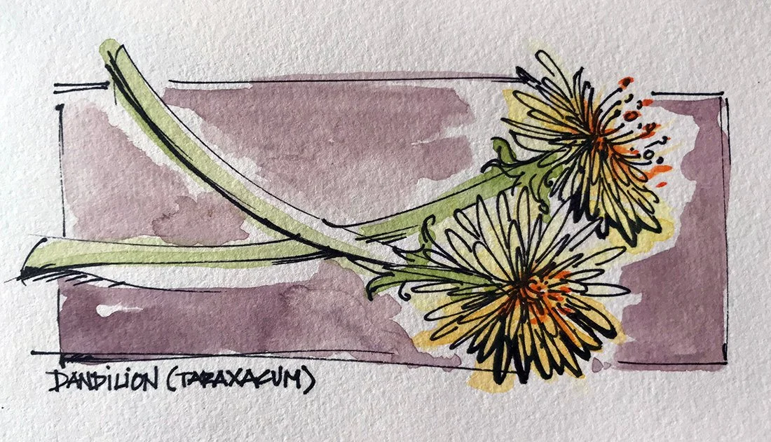 Watercolor_Sketch_Flower_02-copy_web.jpg