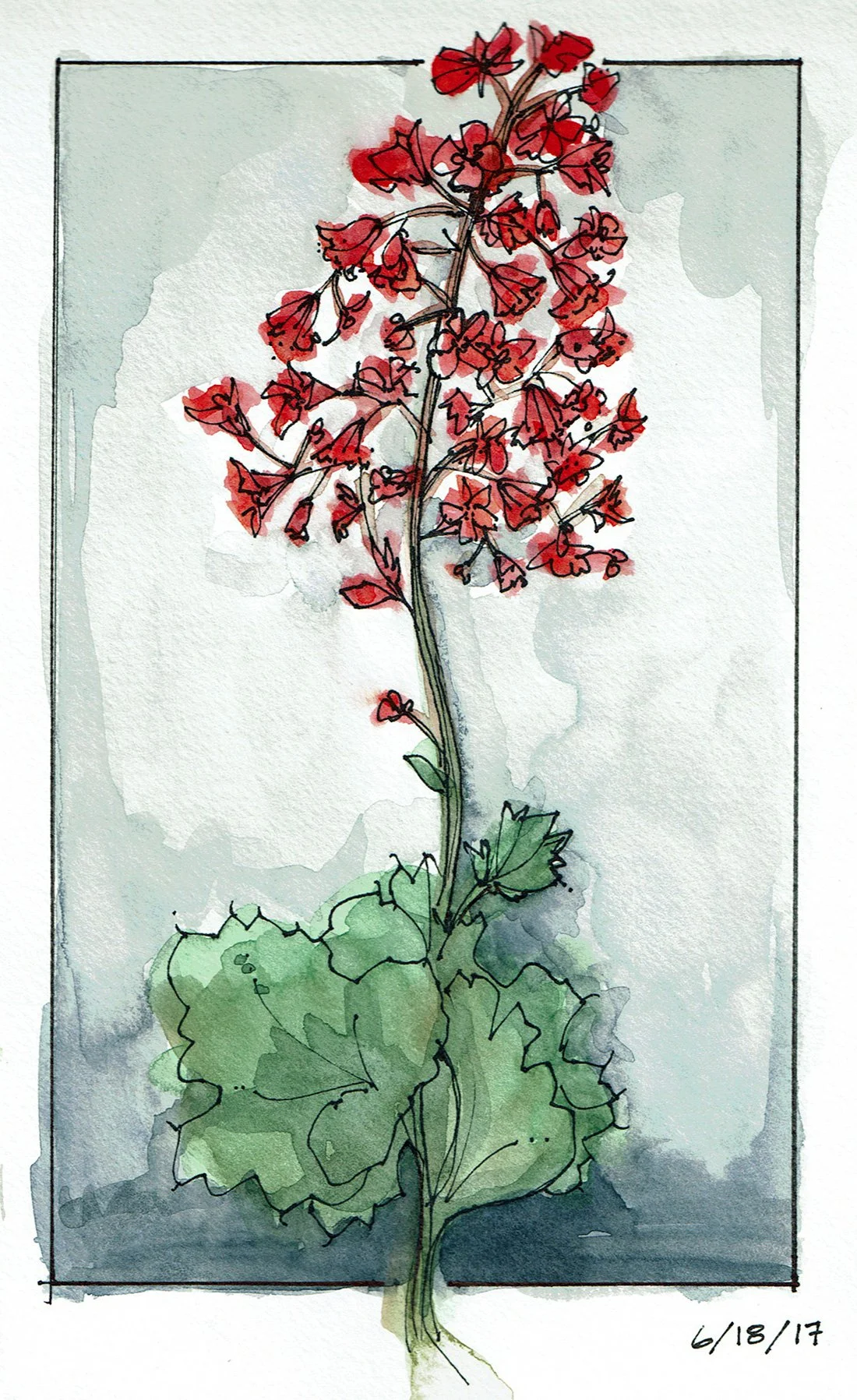 watercolor-sketch3_web.jpg