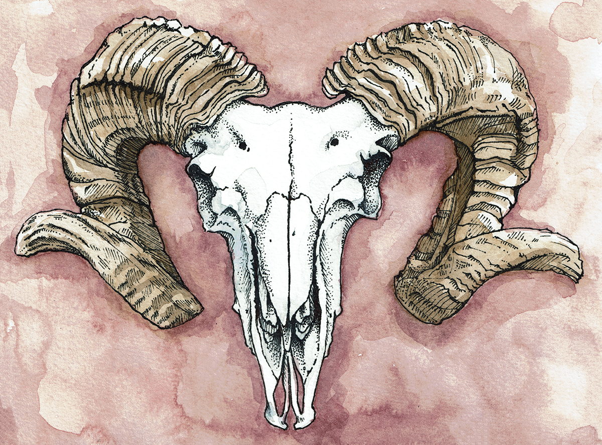 Ram.png