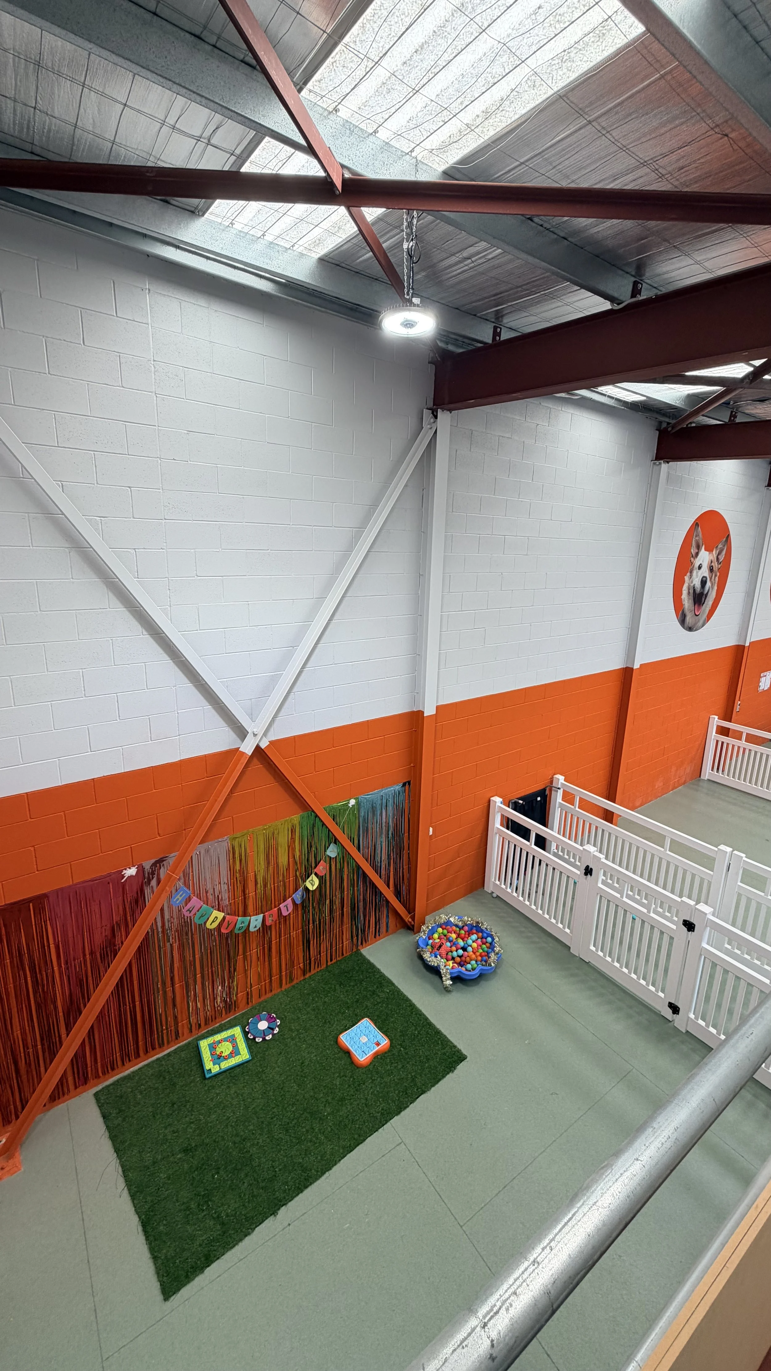 Indoor play area with a bounce house, colorful ball pit, and toys. Walls are painted white and orange, with a large dog face poster on the wall.