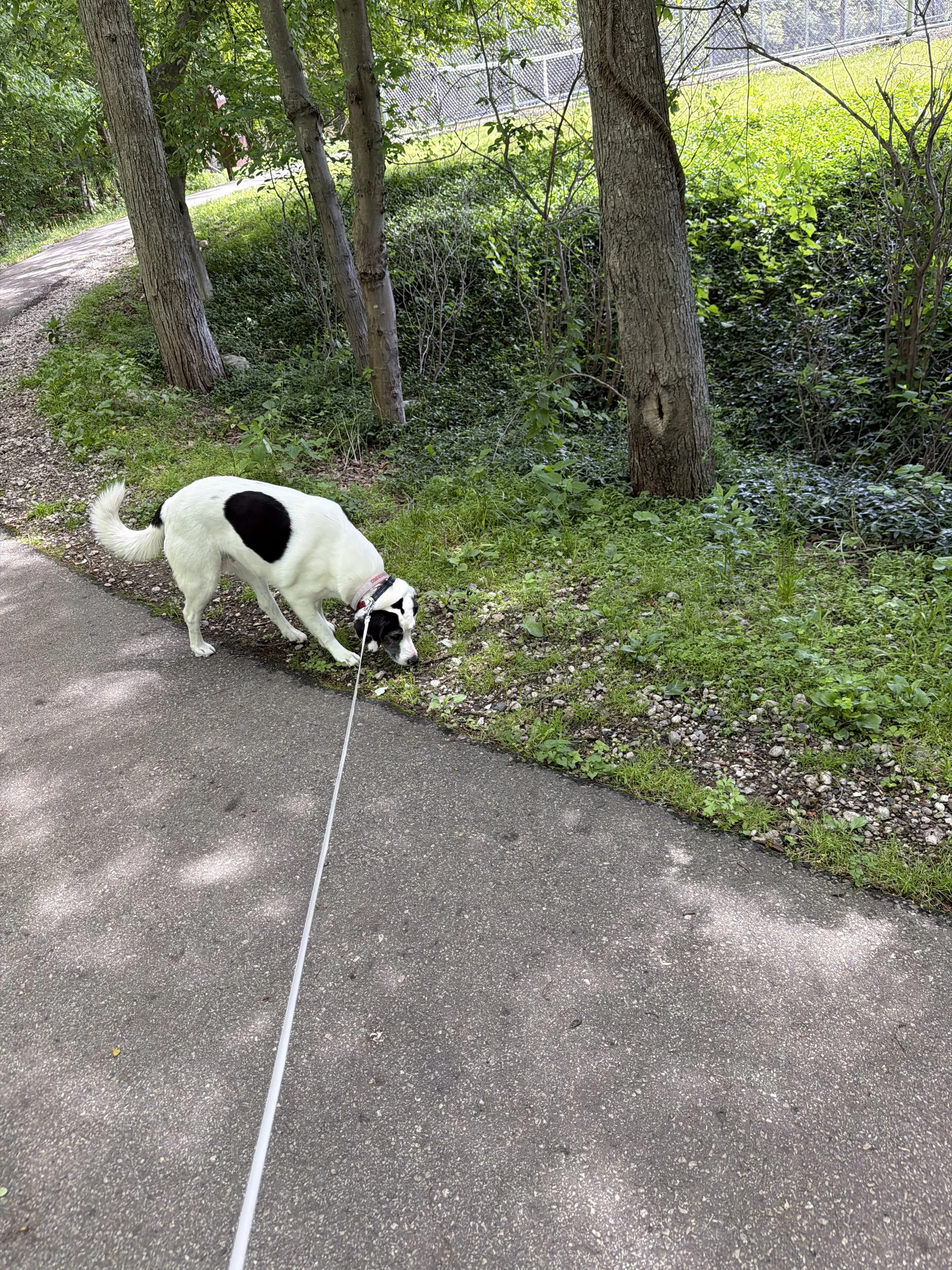 Decompression Walks