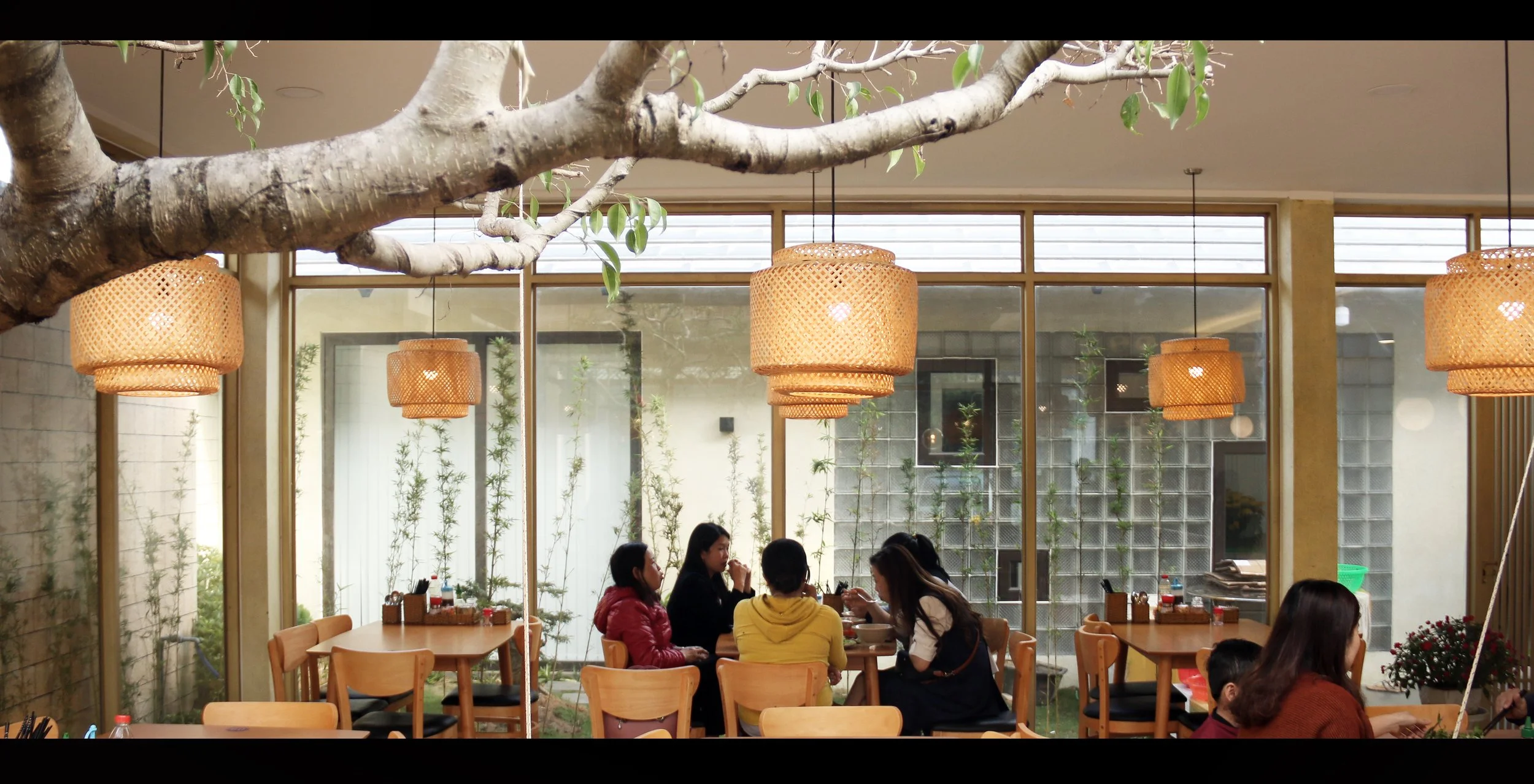 Interior of a restaurant with large windows, hanging rattan lamps, and a tree branch extending from the ceiling. Several people, mostly women, are seated at tables, talking and eating.