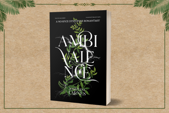 Ambivalence Paperback