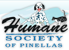 humane_society_of_pinellas.png.webp