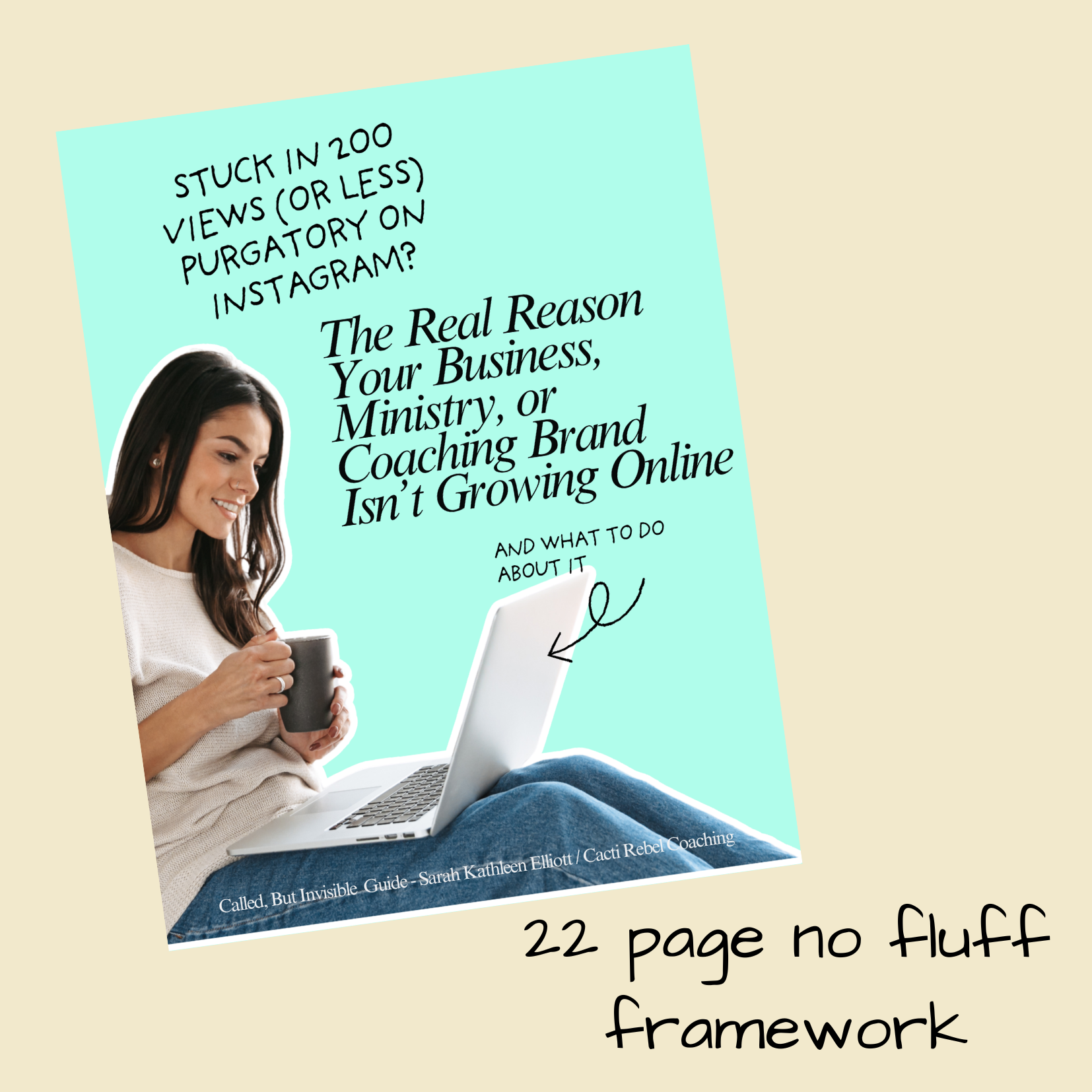 22 page framework.png