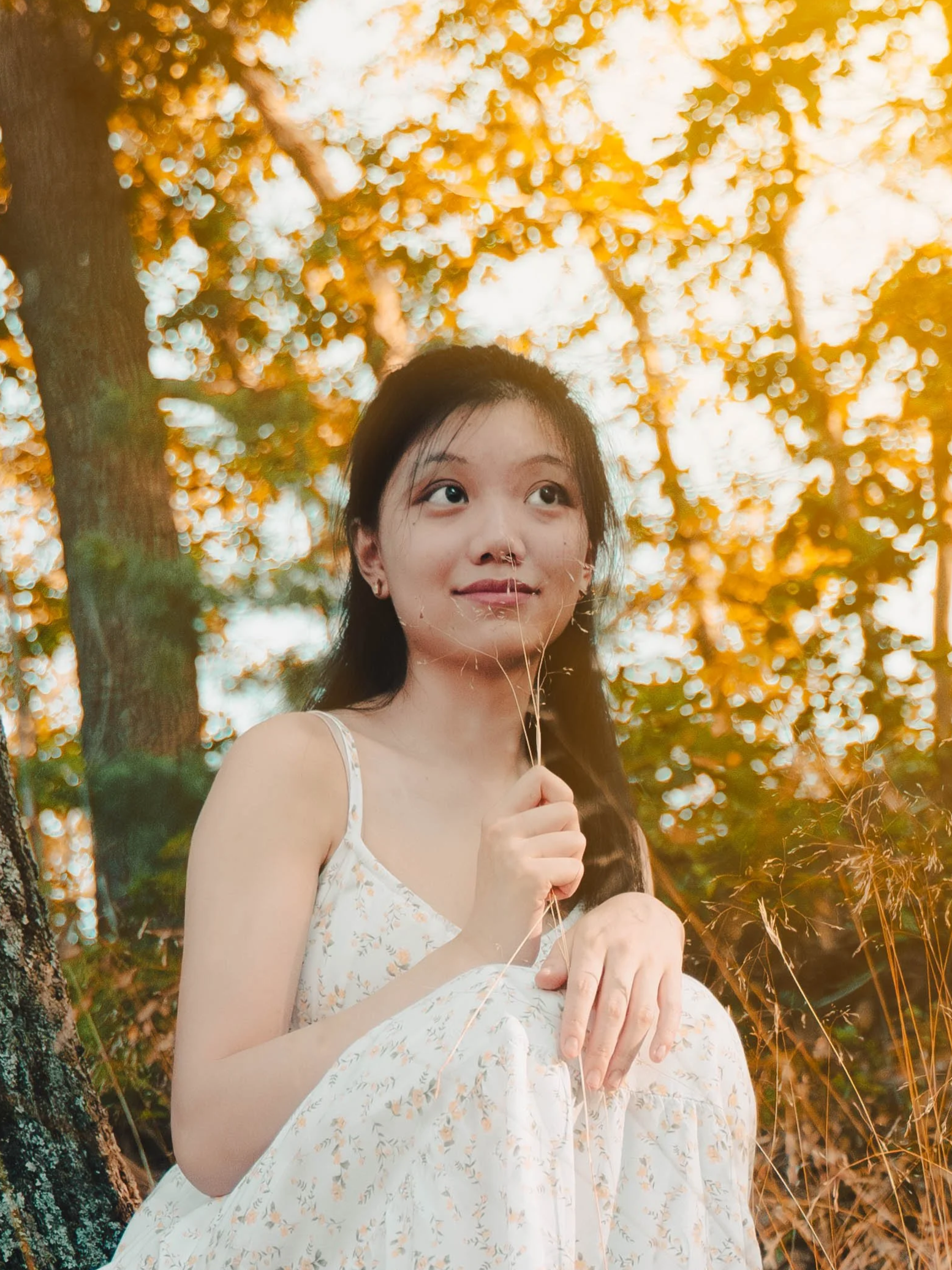 Vanessa Mei