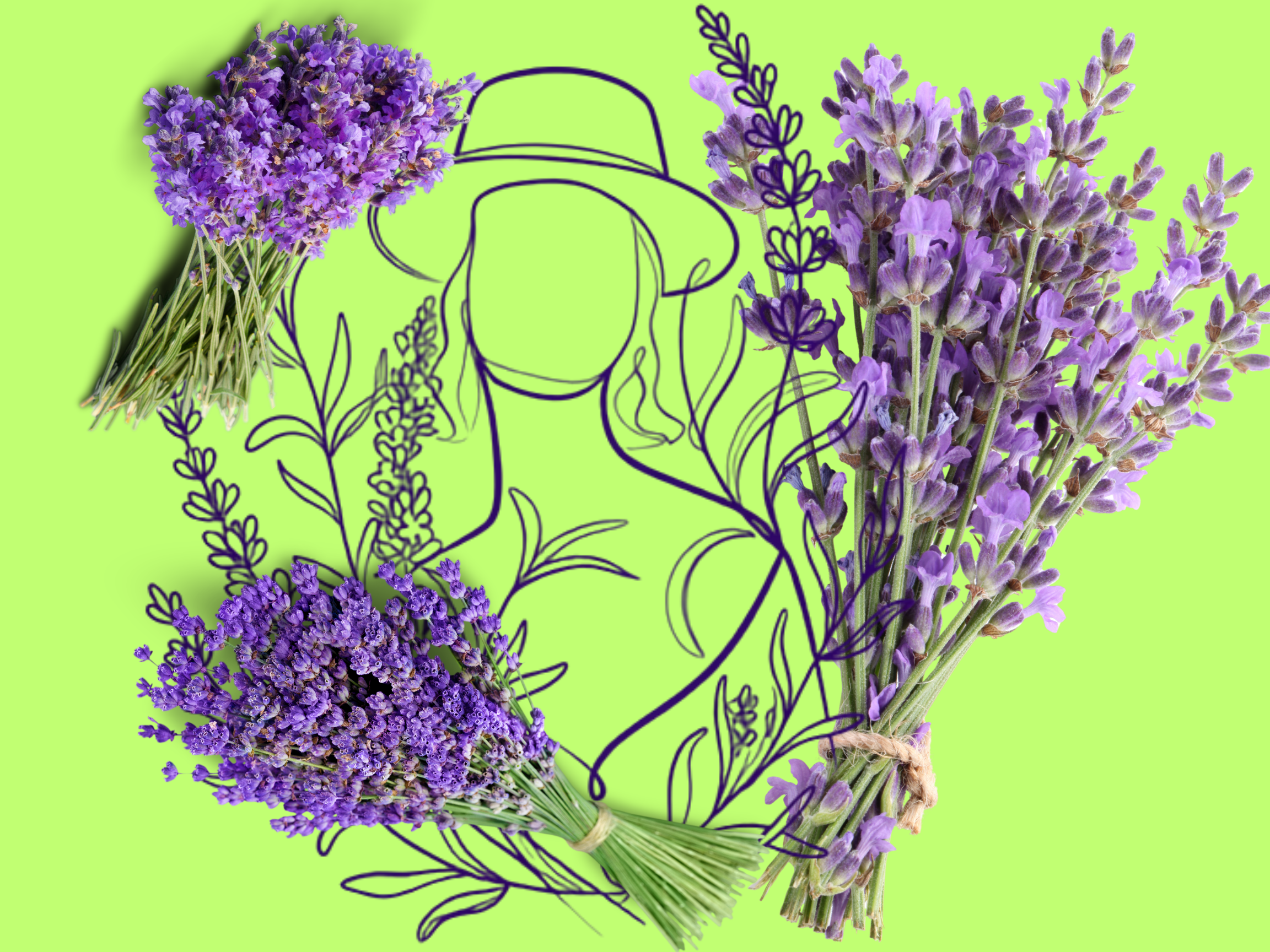 Fresh lavender bouquet