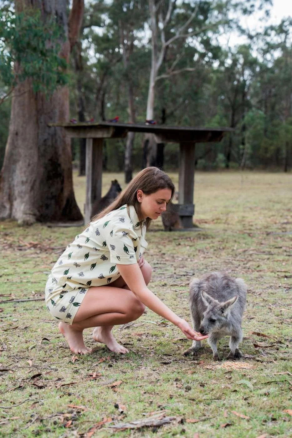 Koala Short Set