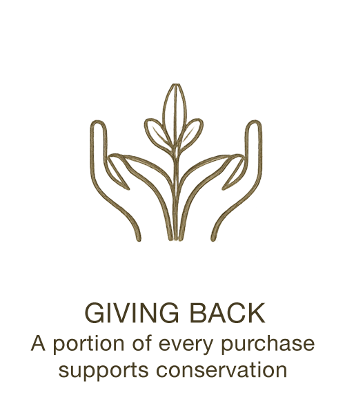 Wild & Kind Collective - Sleepwear and Wildlife Rescue Kits