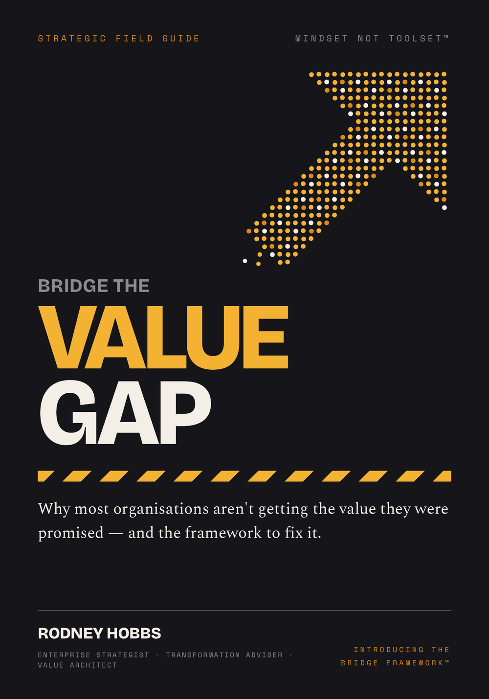 Bridge the Value Gap — book cover