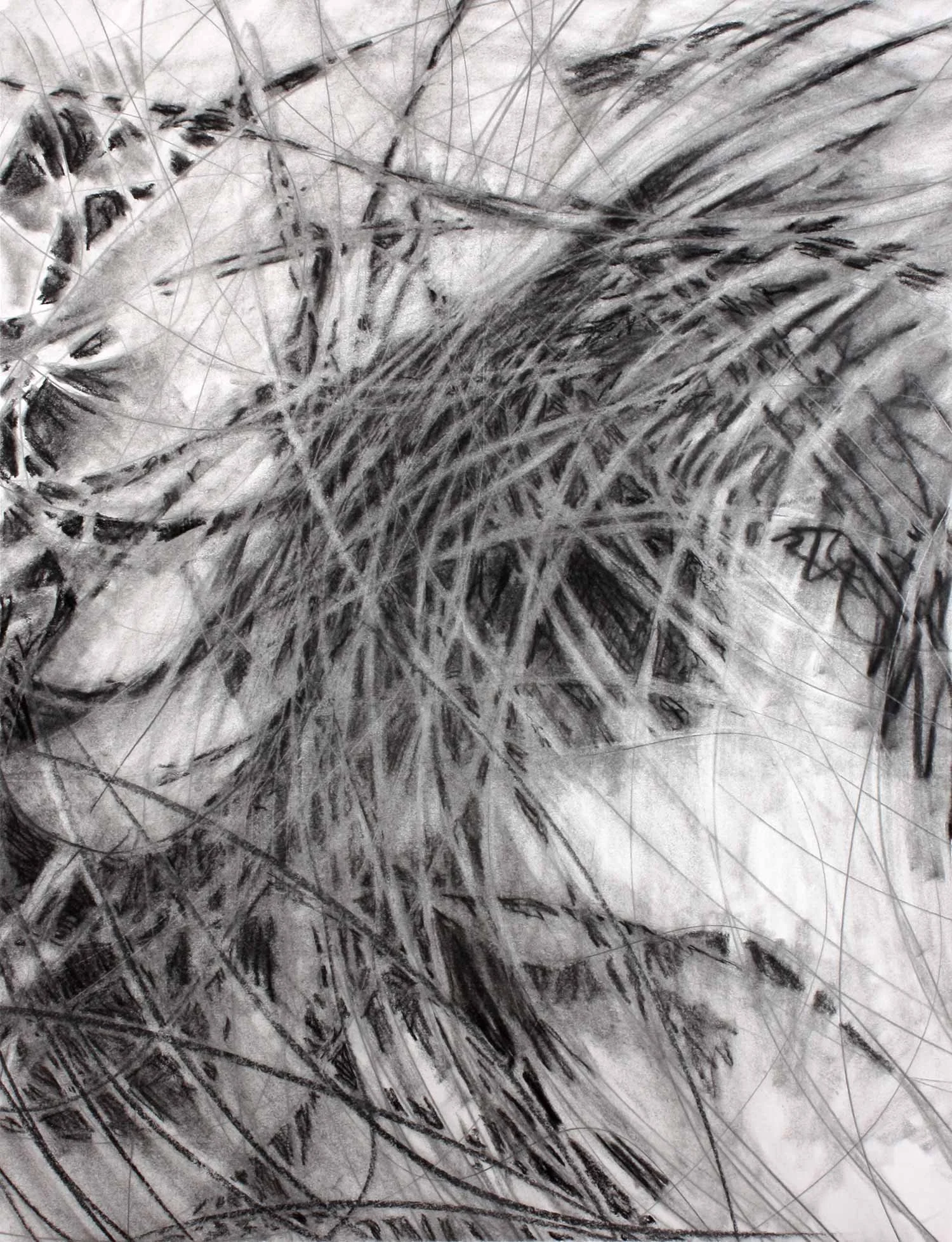  _____ Click to see entire image _____   Jeremy McDonnell 
 Lazy Ribbons (Mound) , 2015 
Charcoal on Paper 
24 x 36 inches