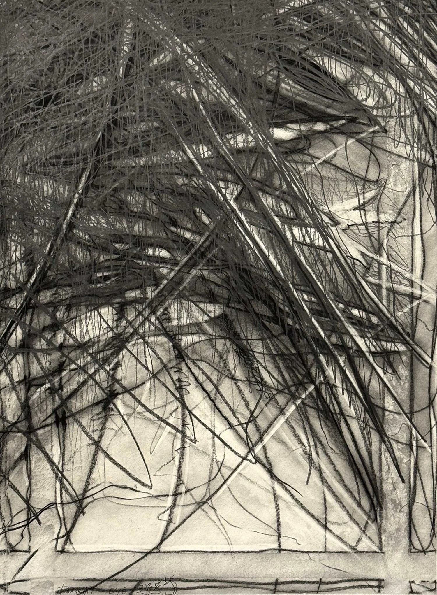  _____ Click to see entire image _____   Jeremy McDonnell 
 Portrait Eye 3333  
Charcoal and Graphite on Paper 
30 x 23 3/4 inches